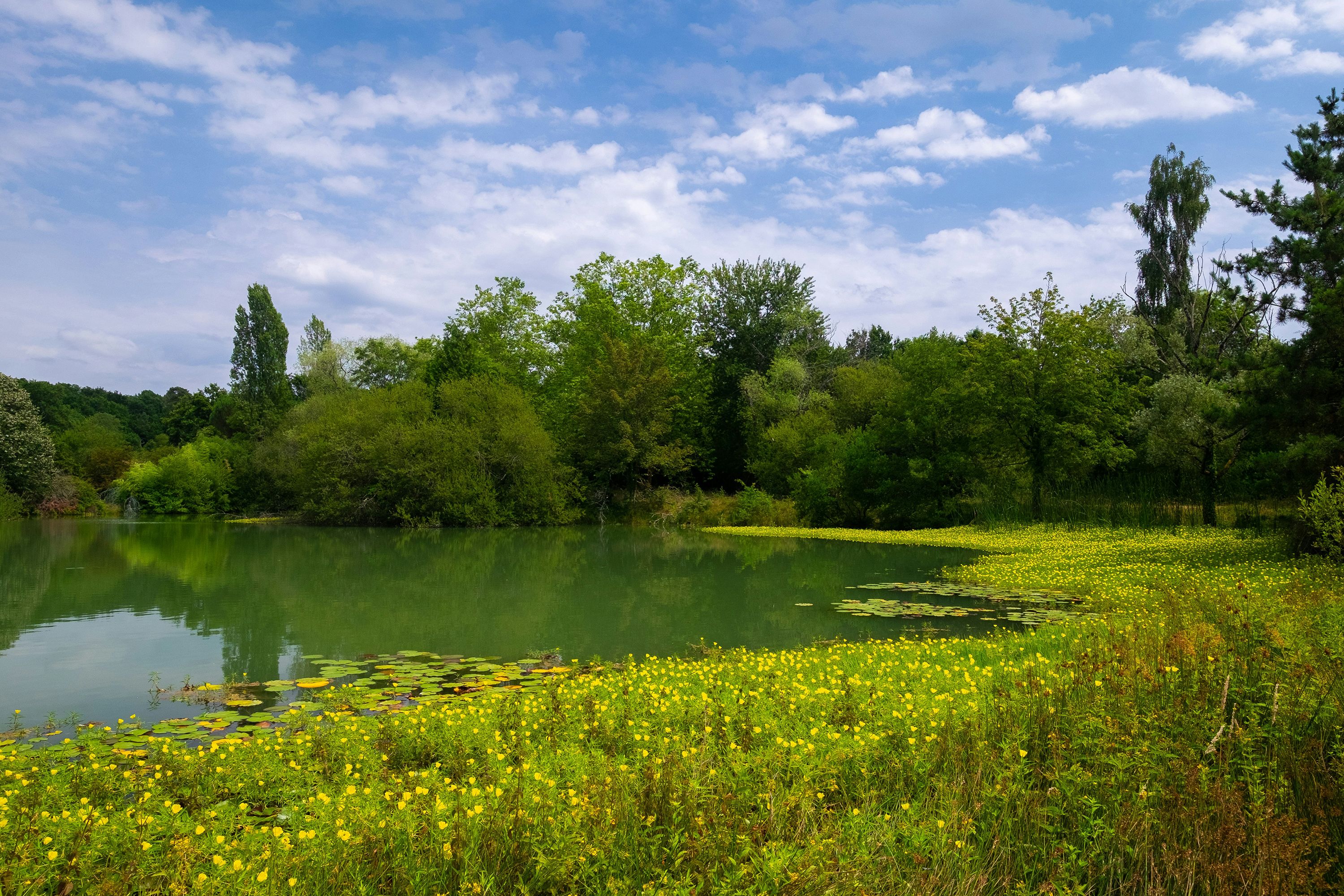 Ben Guerin GKYY5eFHN1U Unsplash