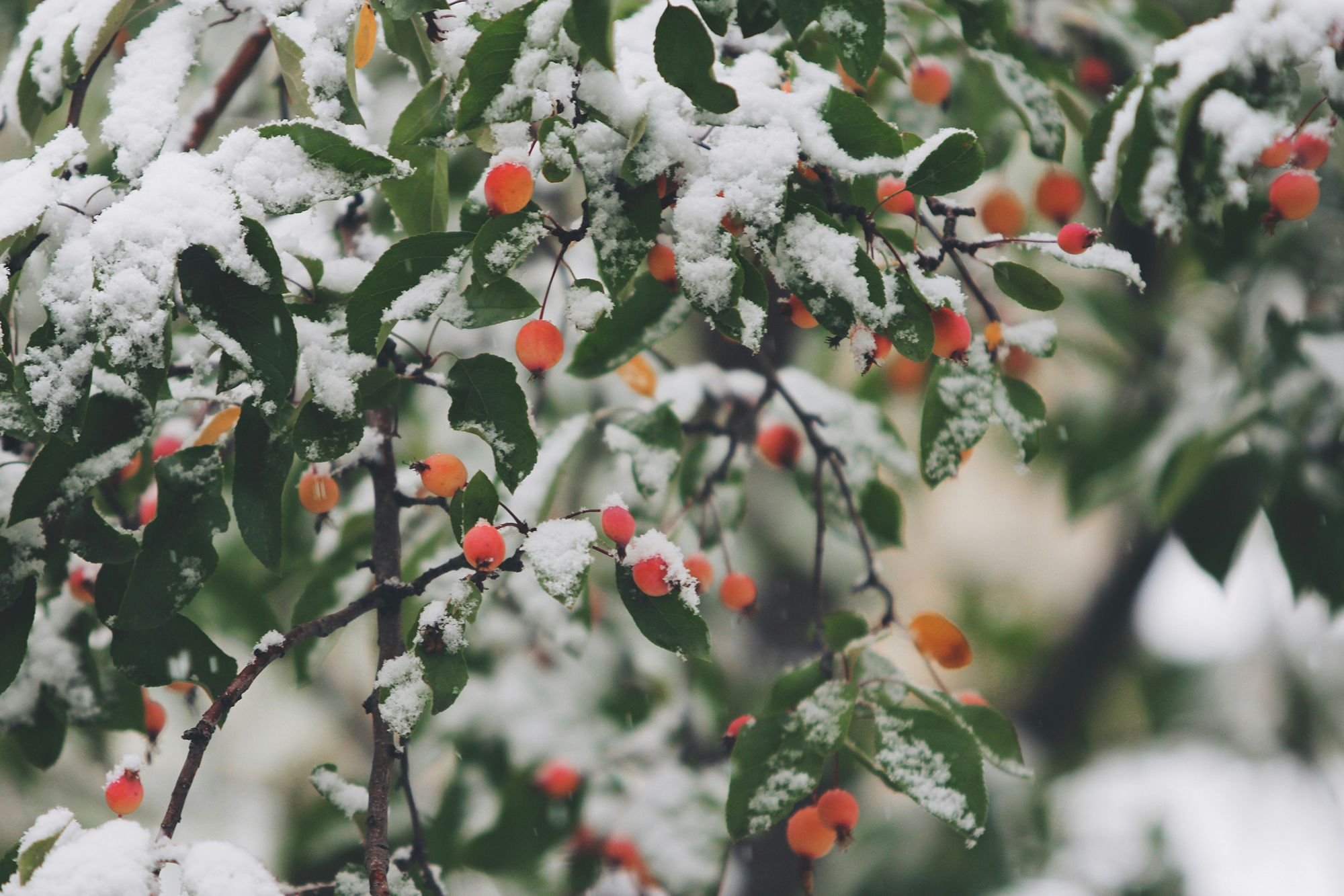 John Price UdgvzNom0Xs Unsplash%20%281%29