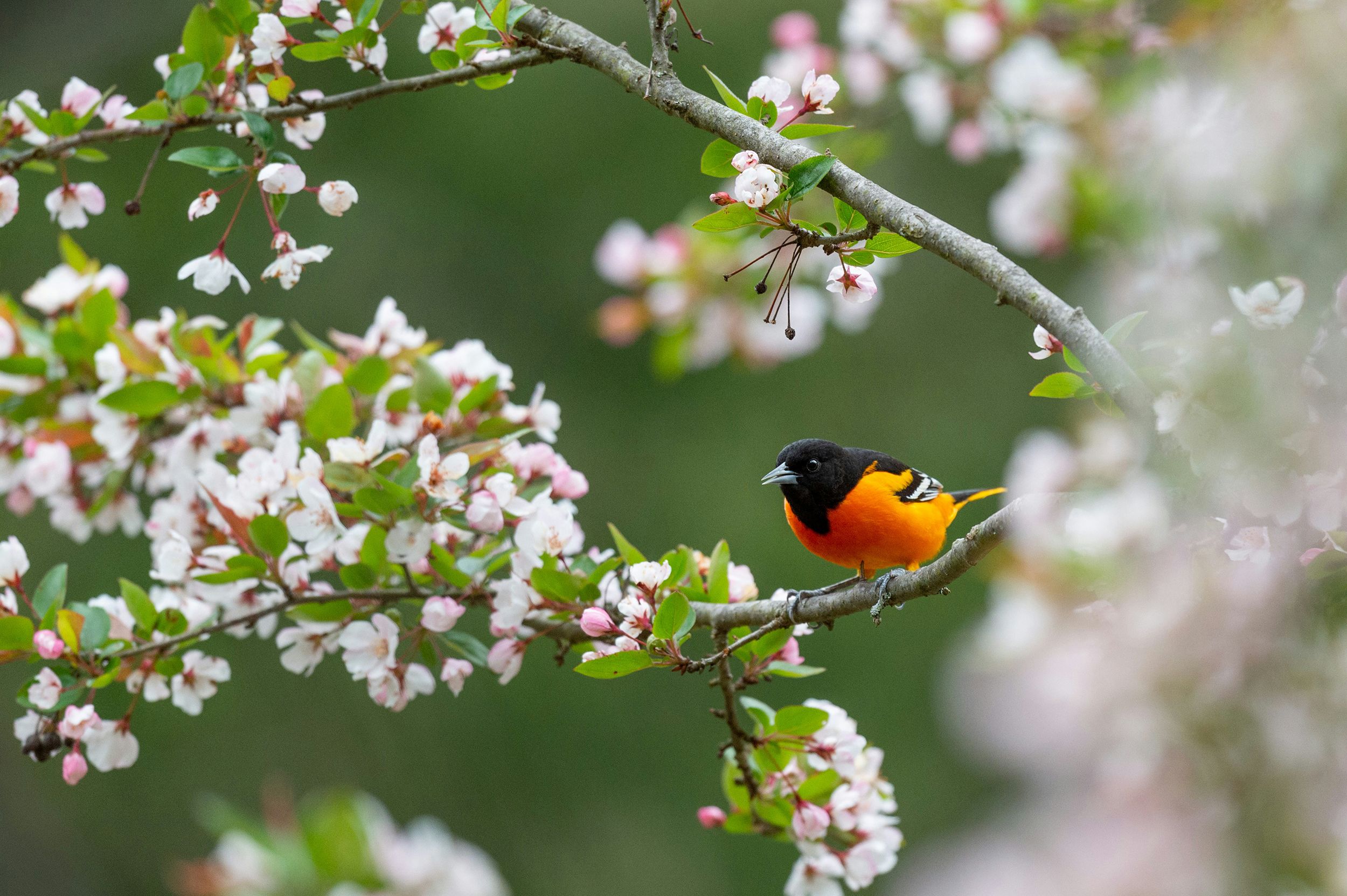 Ray Hennessy 8YcUN7F  6c Unsplash