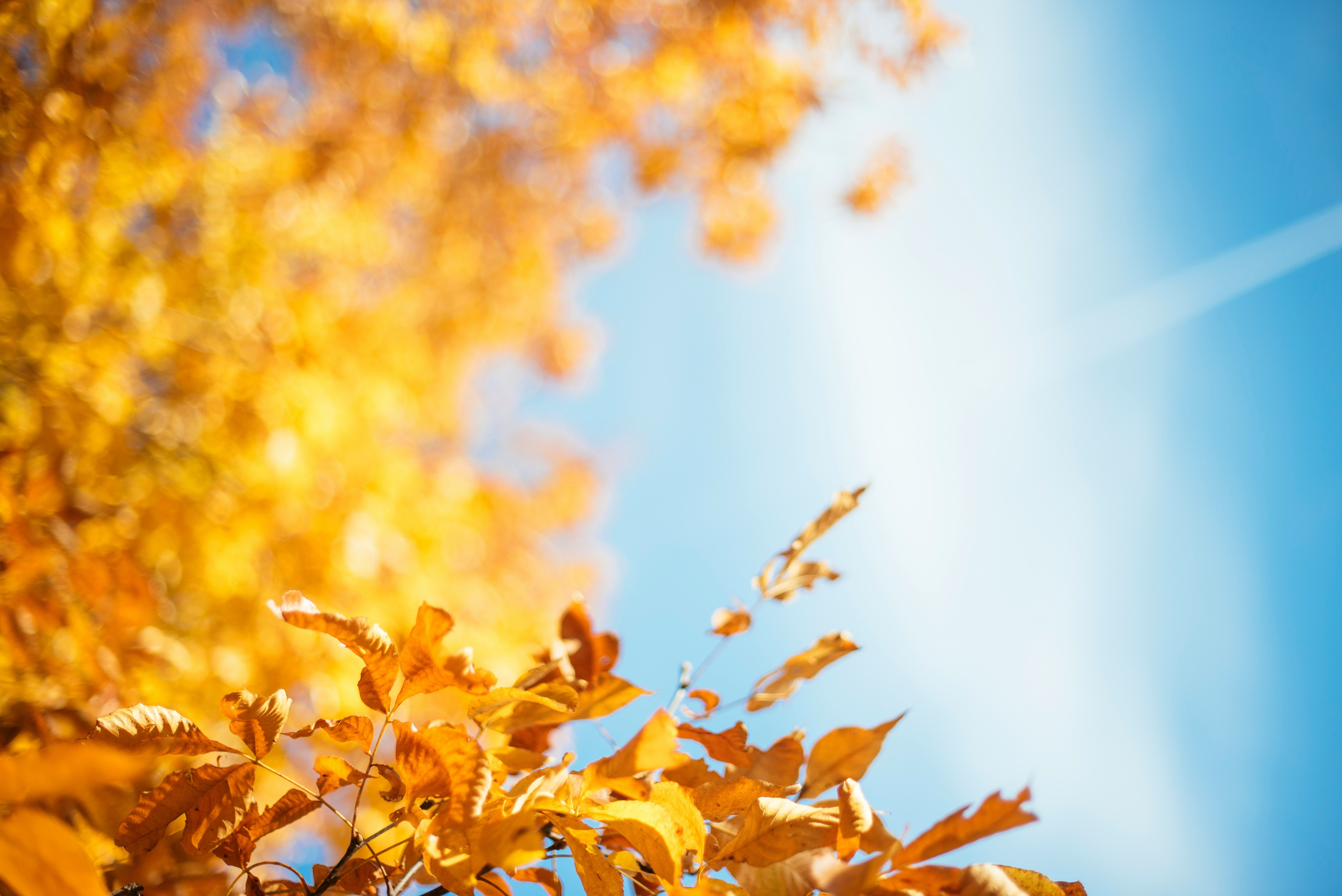 Stephanie Krist CdUAfev8uRc Unsplash