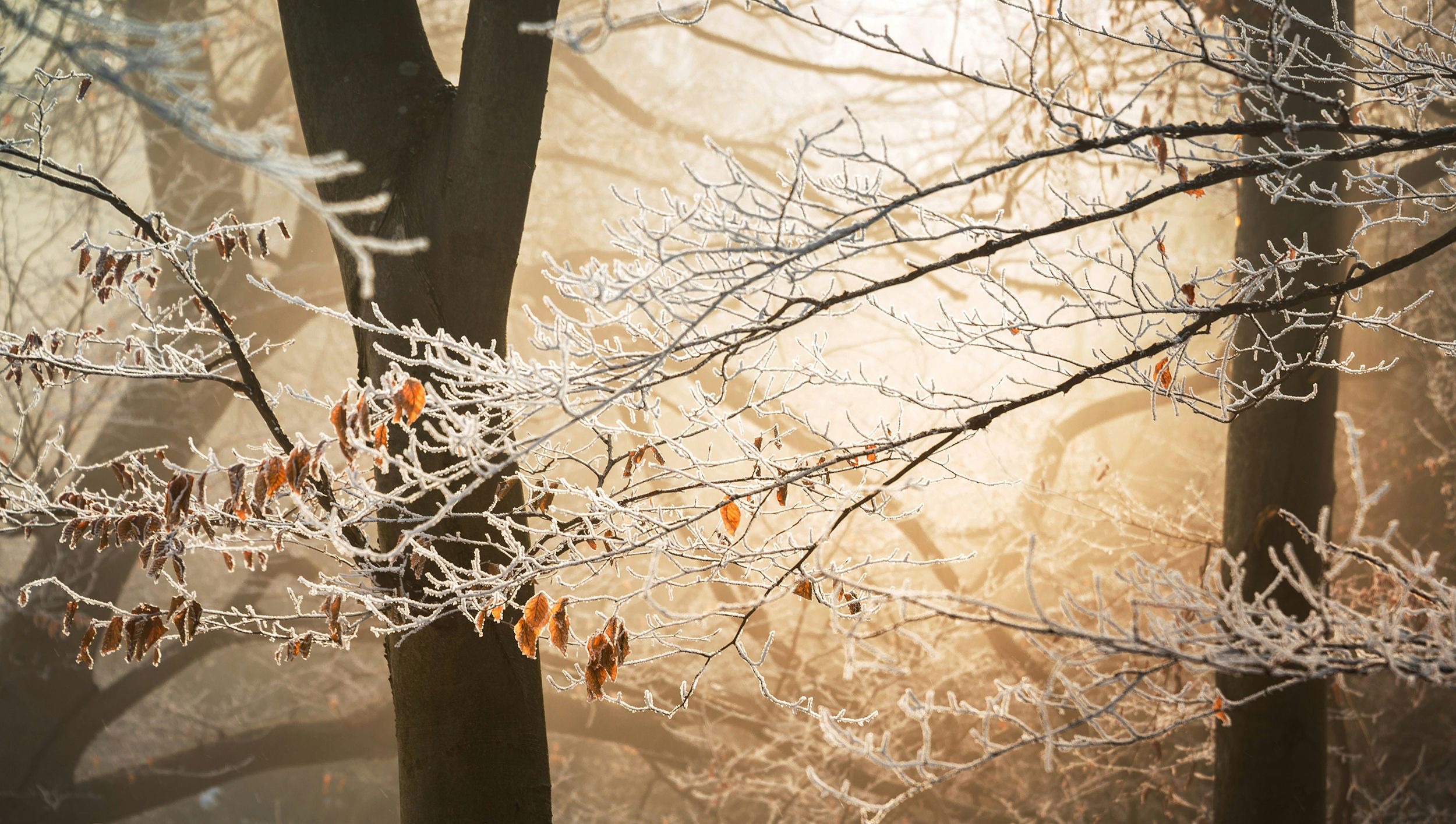 Ales Krivec Ppnnu5 9bgI Unsplash