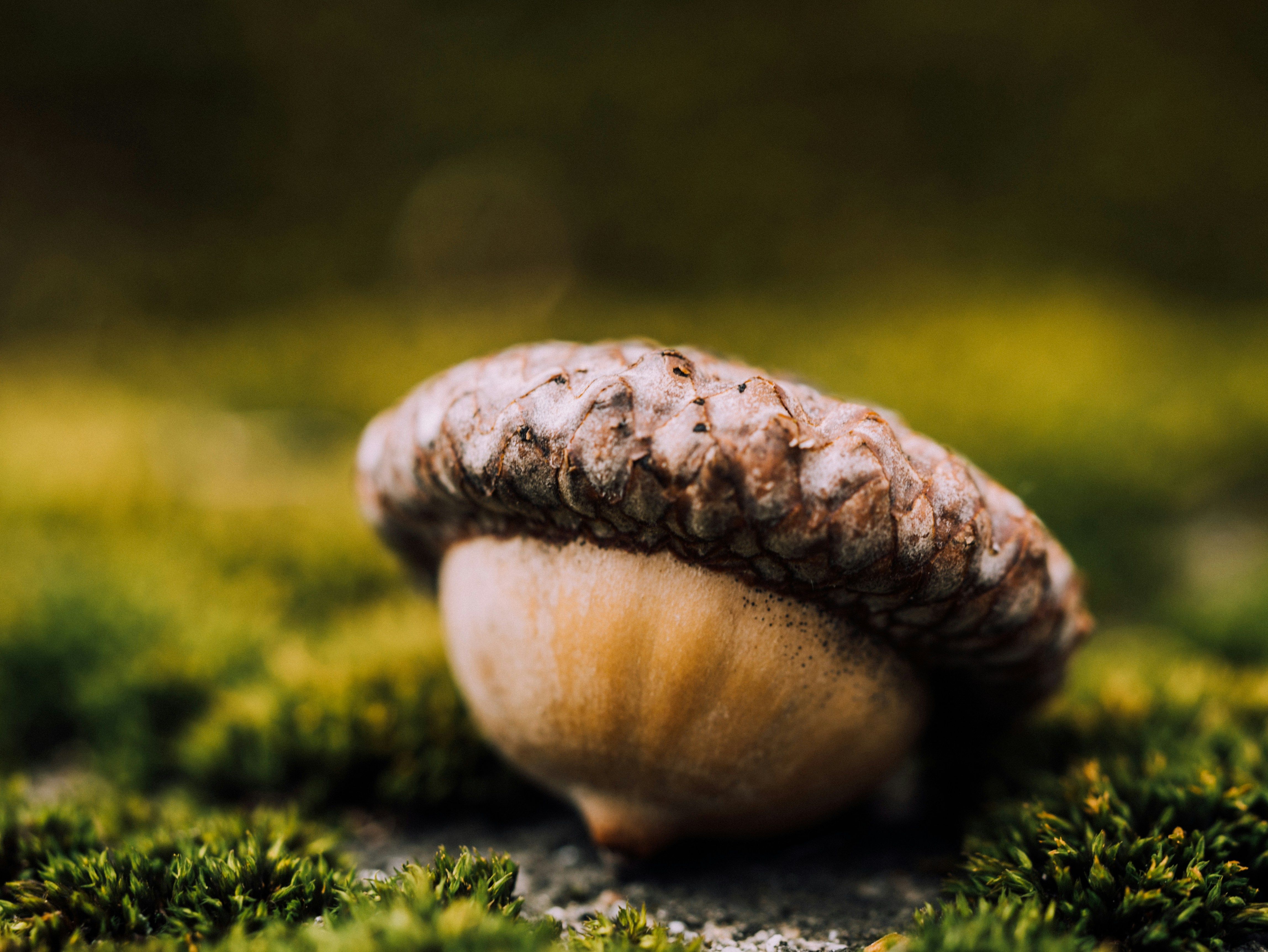 Aaron Burden PpOHJezOalU Unsplash