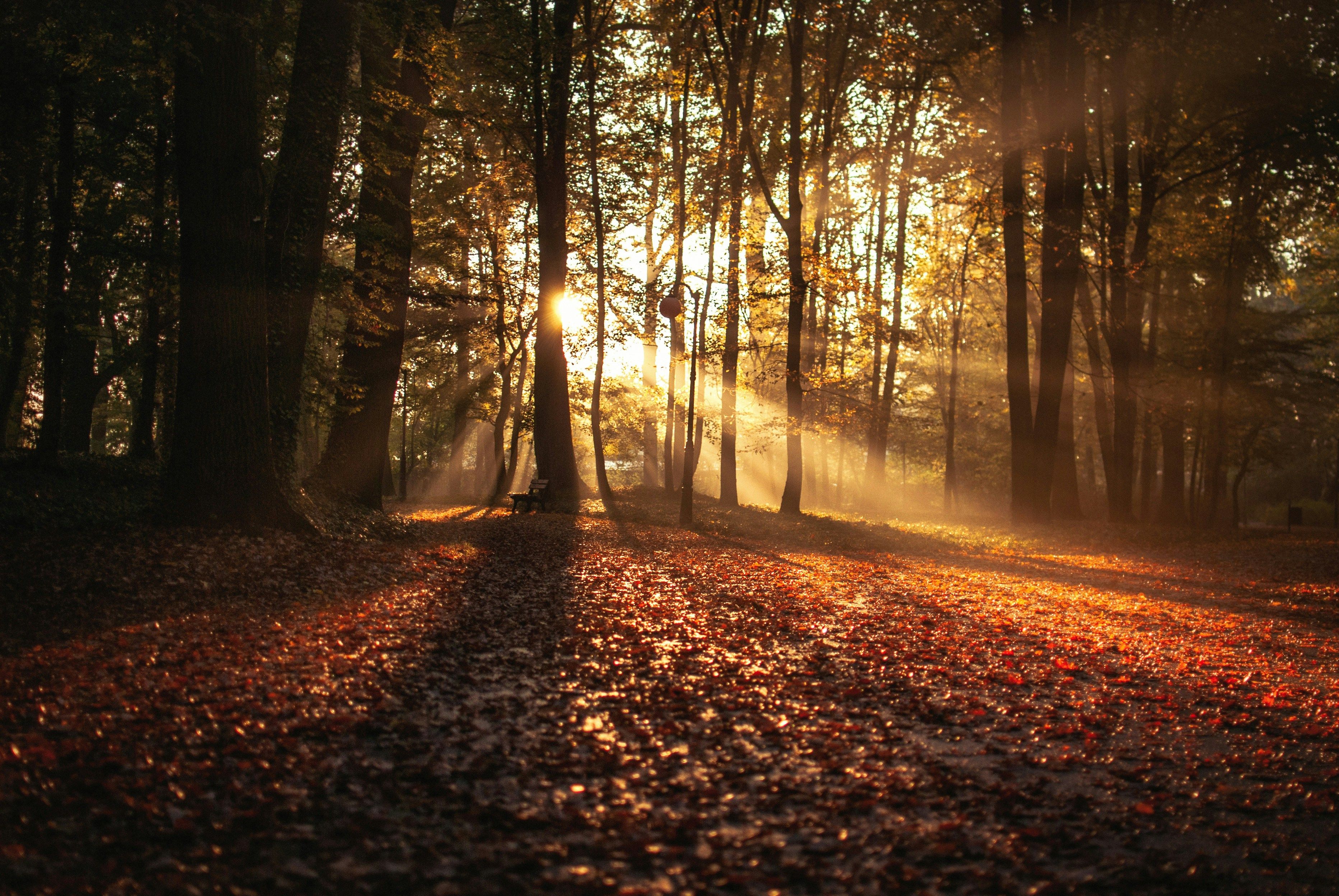 Erik Witsoe PvoQJym18Jg Unsplash