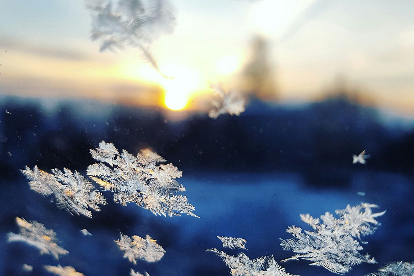 Kacper Szczechla U2L0qbBw9Jo Unsplash