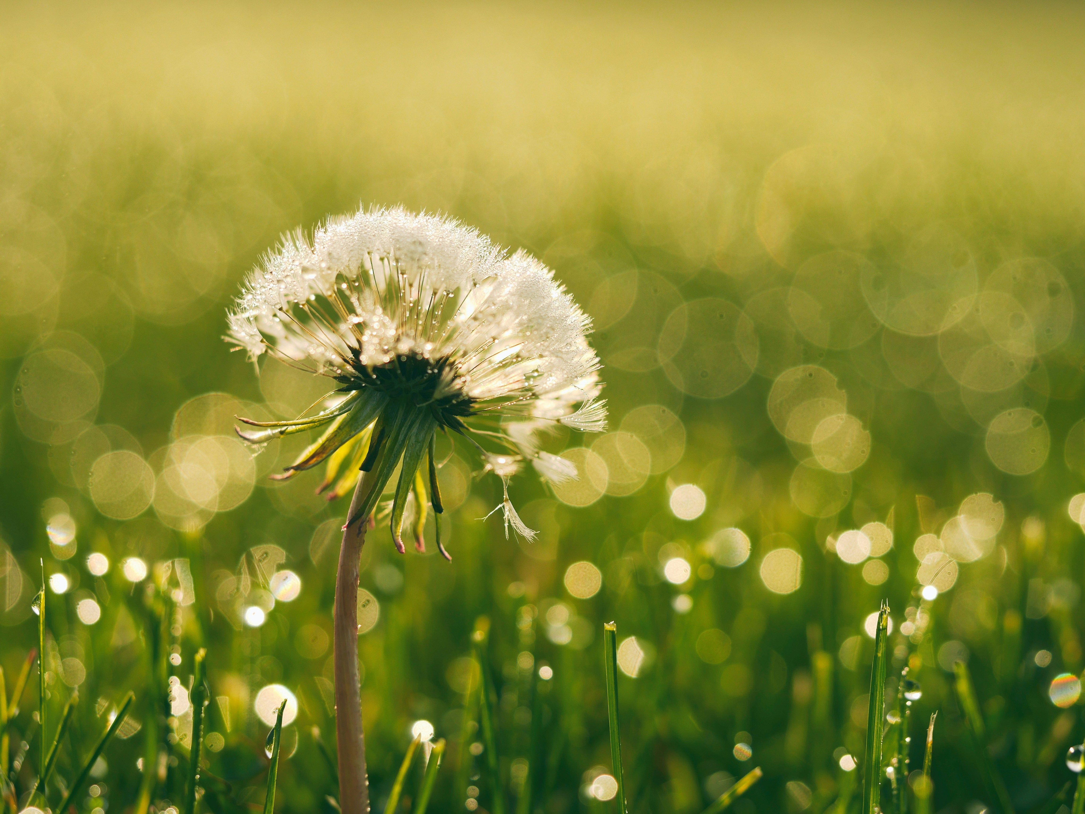Aaron Burden XxvXRmsH860 Unsplash