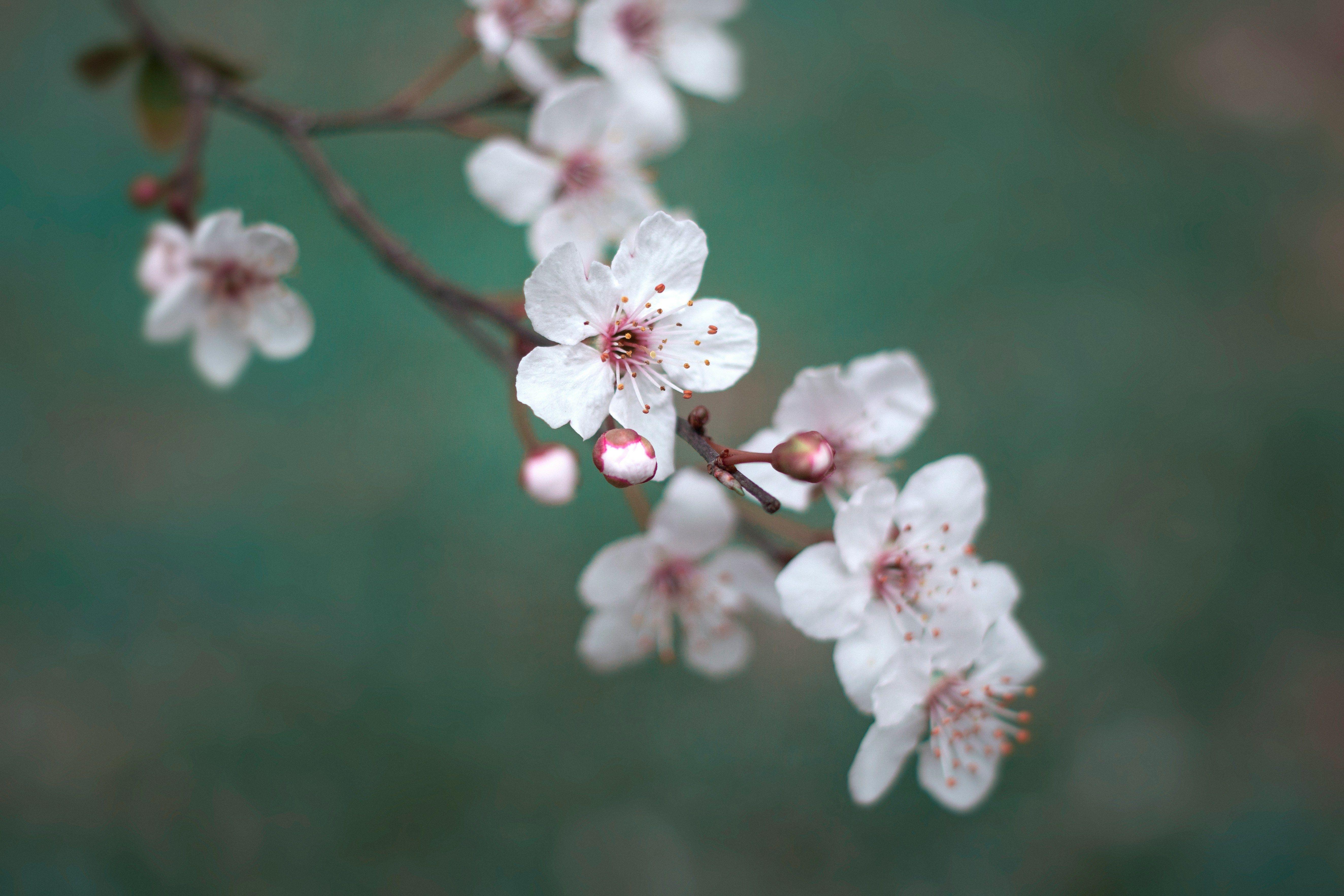 Dadalan Real YZQk8Dw 1CA Unsplash