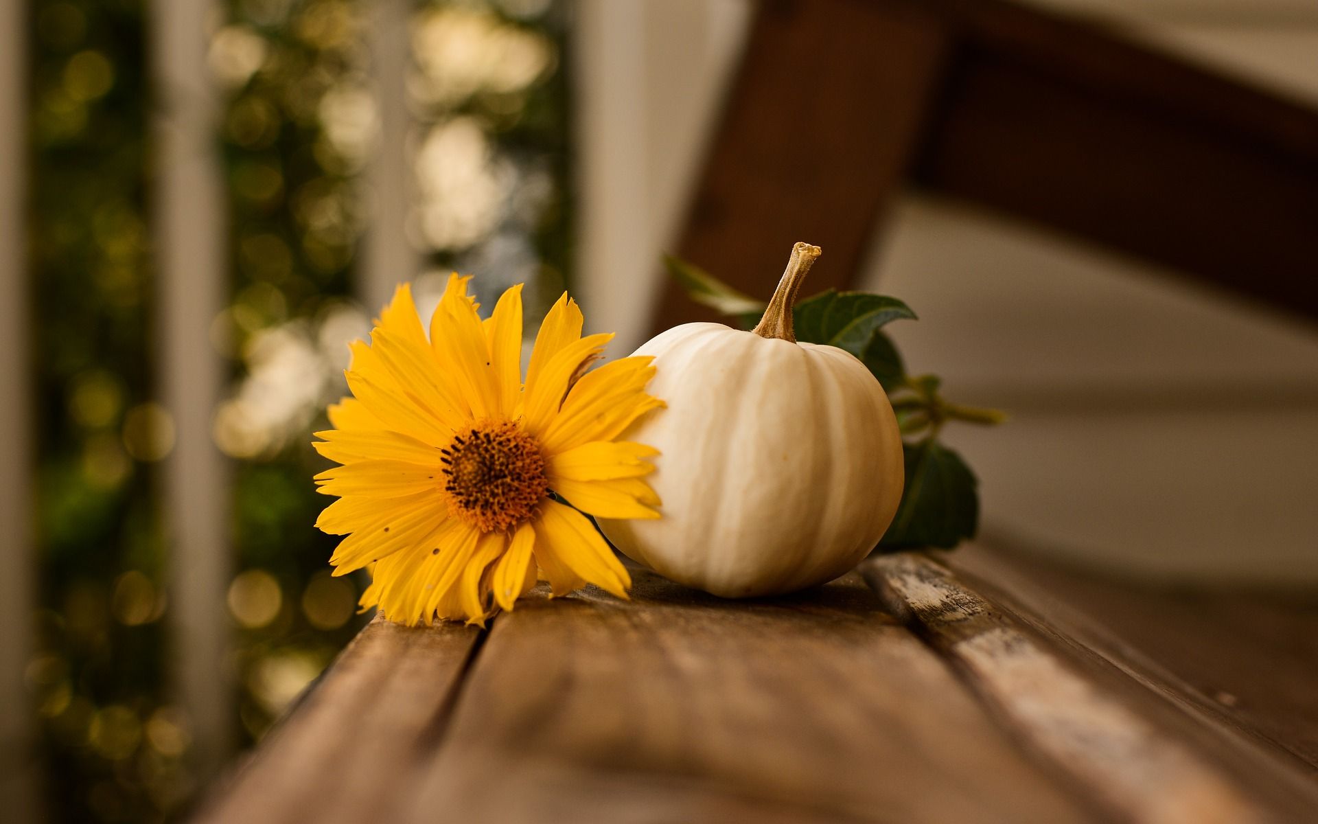 November%20navigator