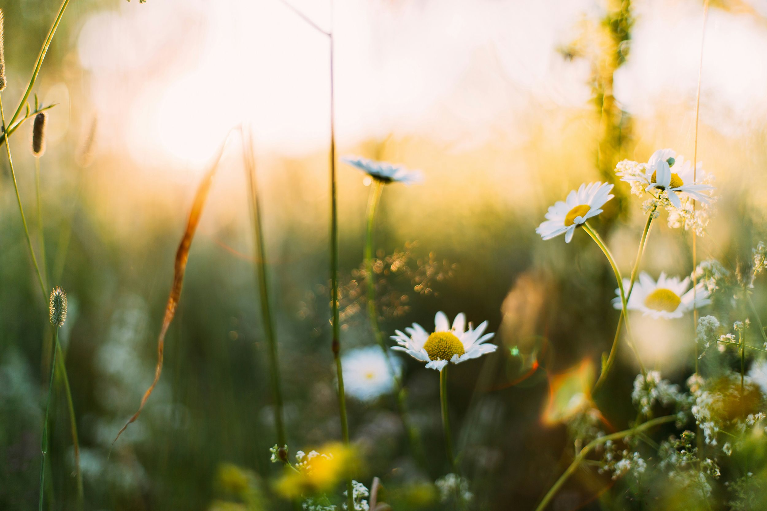 Daiga Ellaby YnNczu62rdk Unsplash%20%281%29