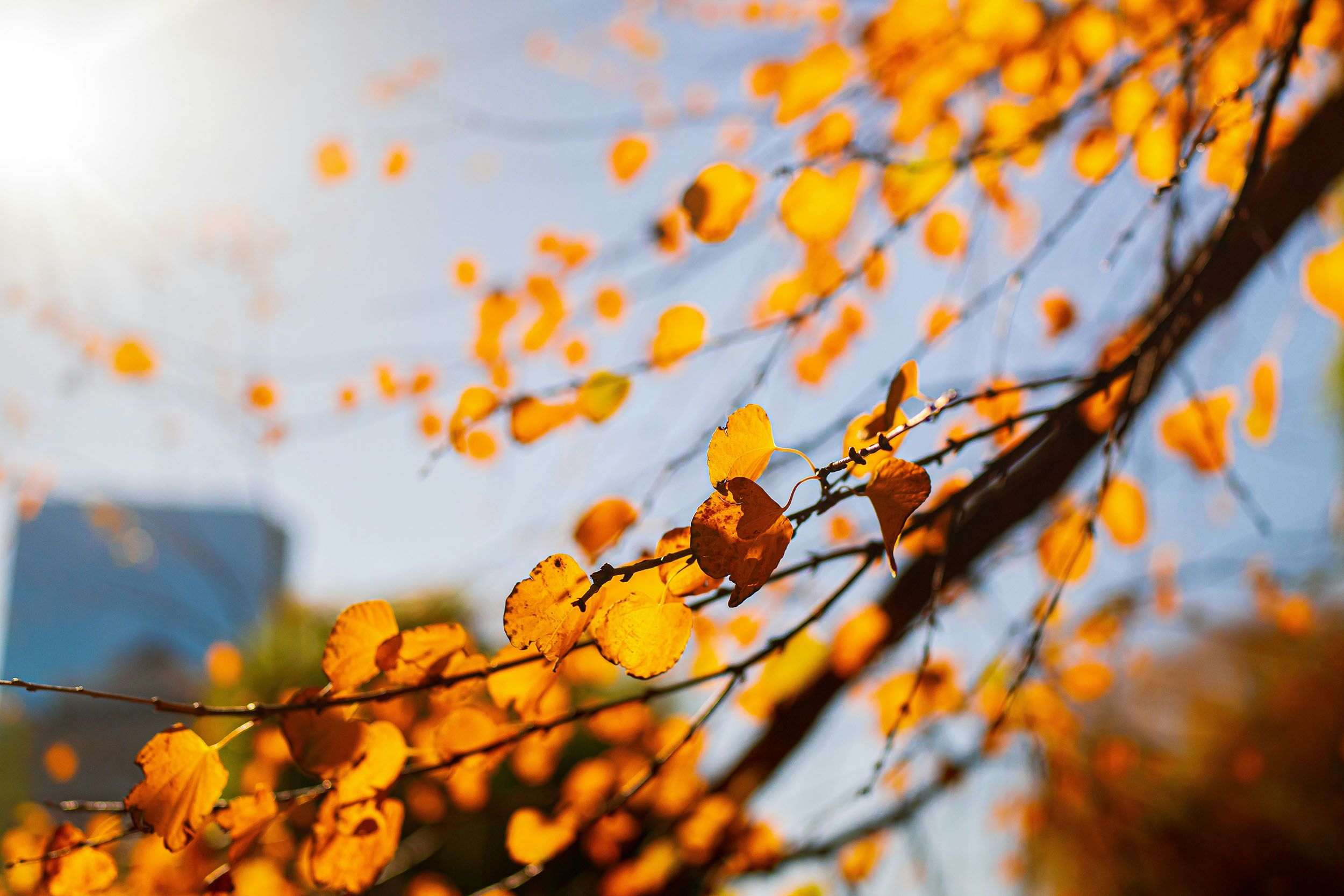 Josh Mccausland ChTK7eobF7s Unsplash