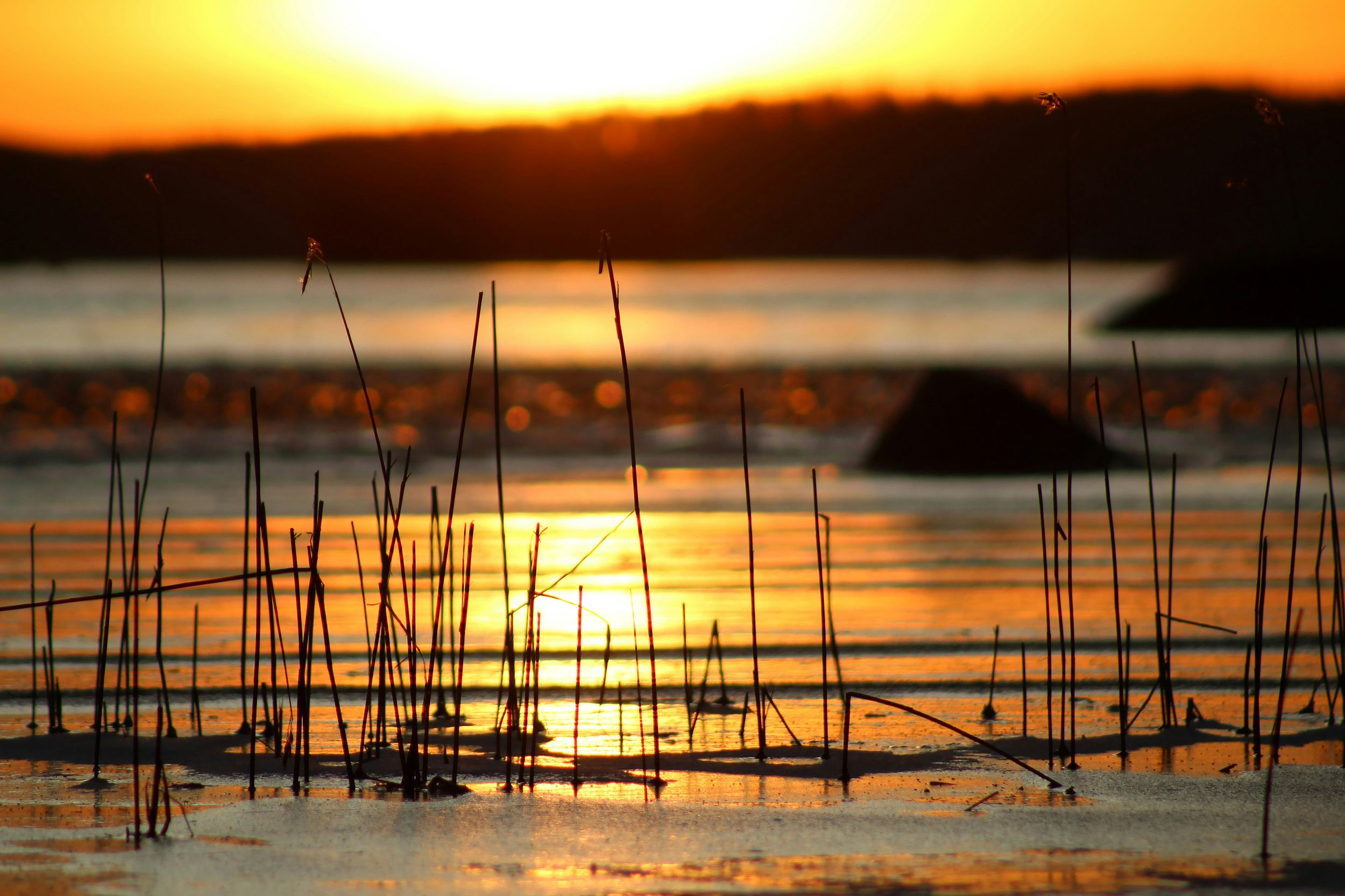 Anne Nygard 5JPWj9rlXoU Unsplash