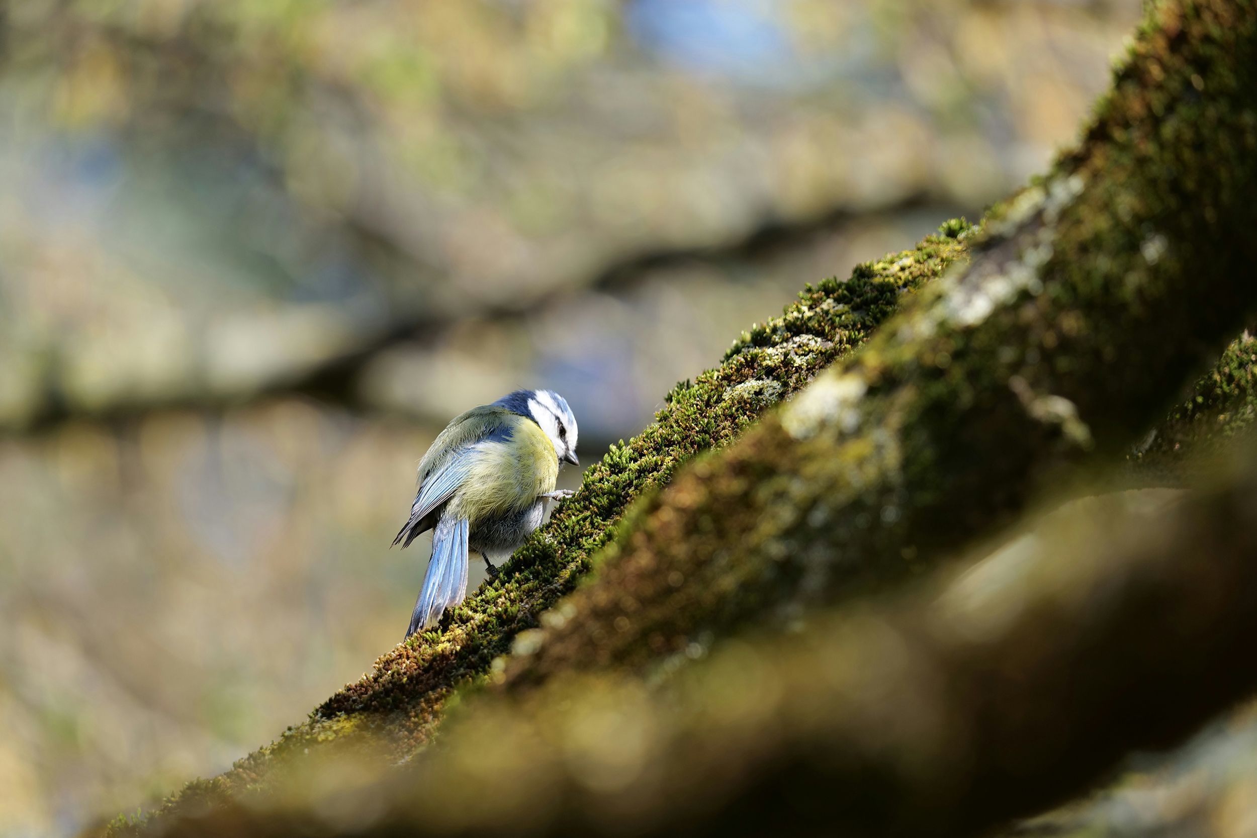 Guillaume Photographie AsJYDtNLKF0 Unsplash