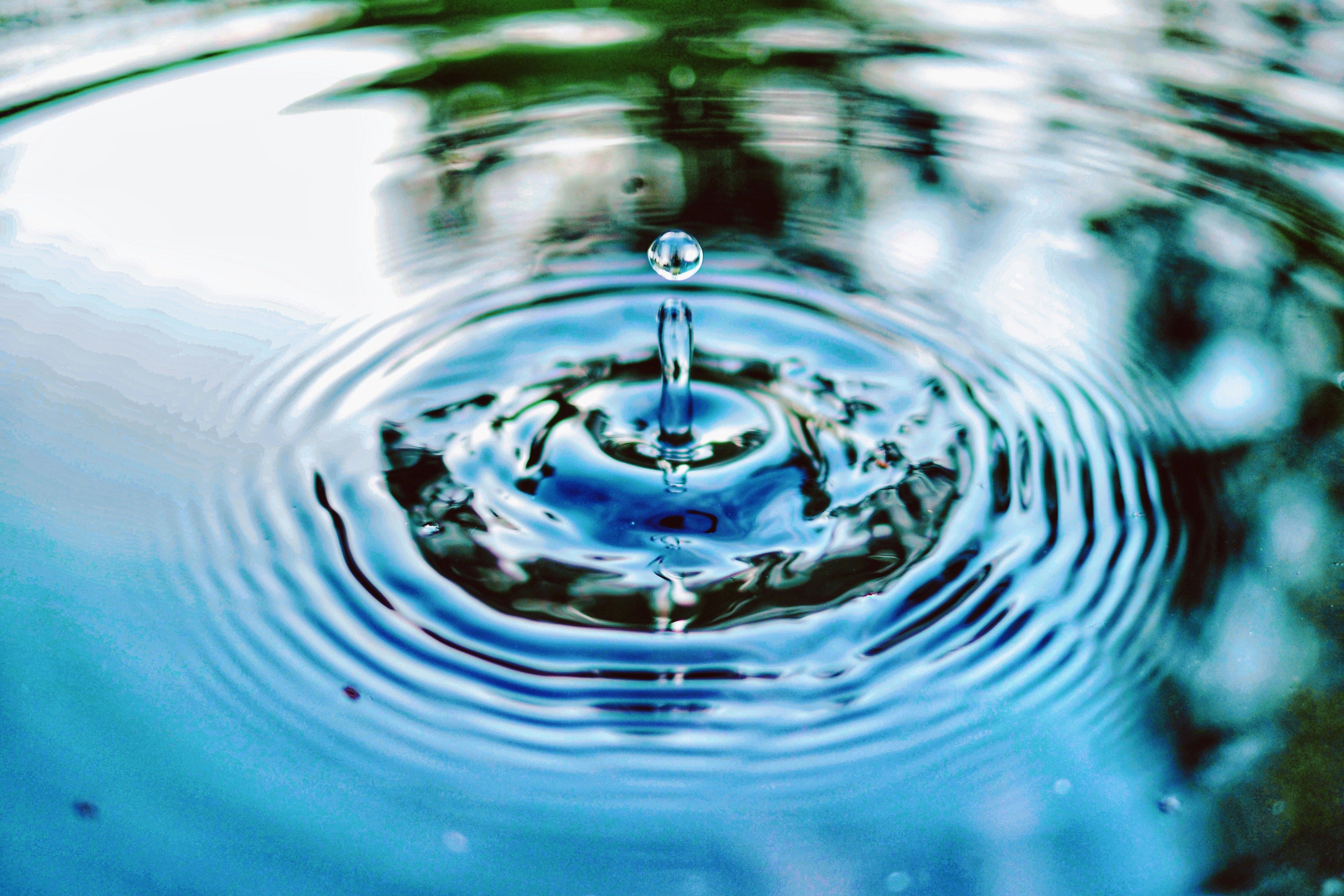 Jimmy Chang NP8gd2KUnfw Unsplash