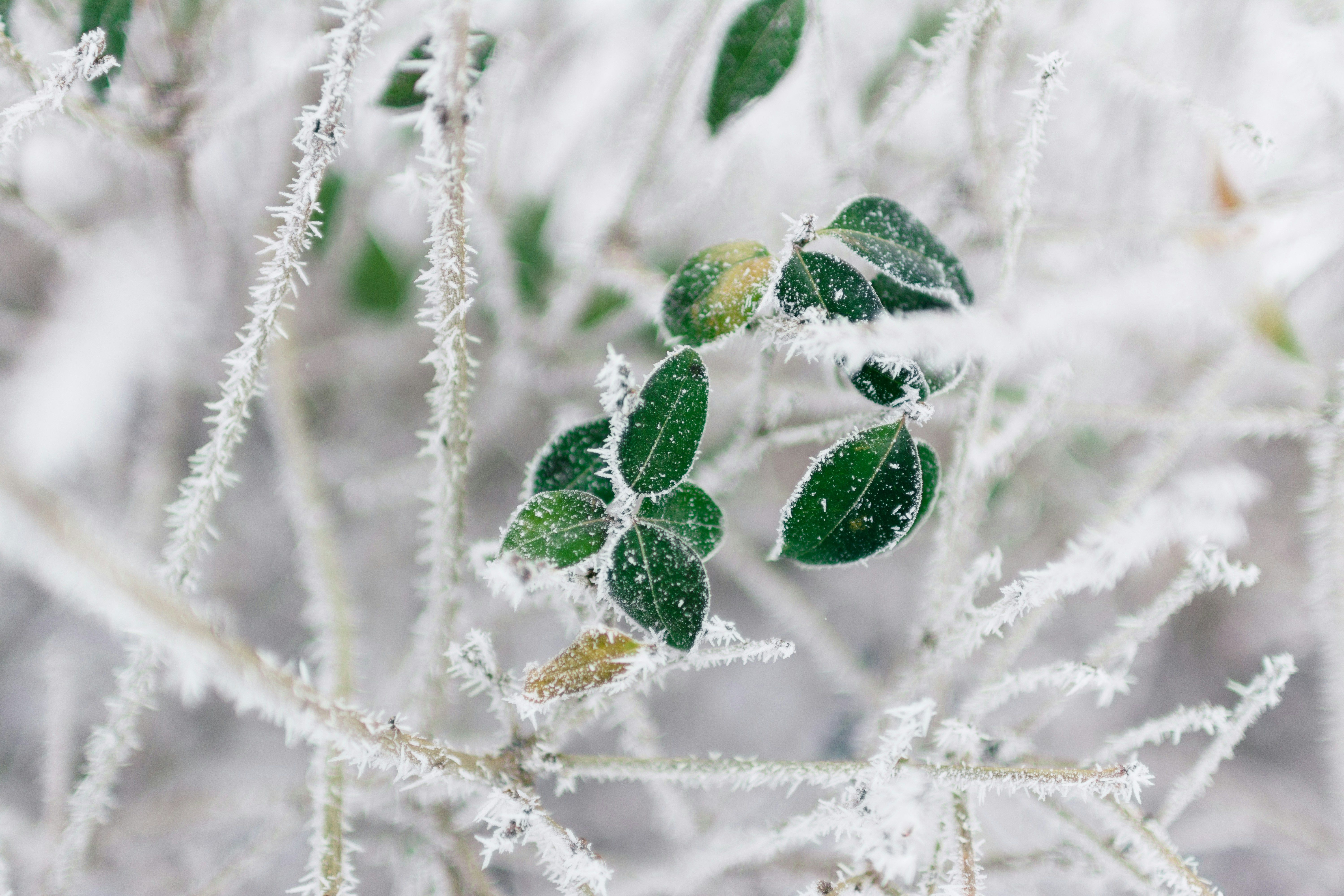 Rodion Kutsaiev QN2BhLmoUJ0 Unsplash