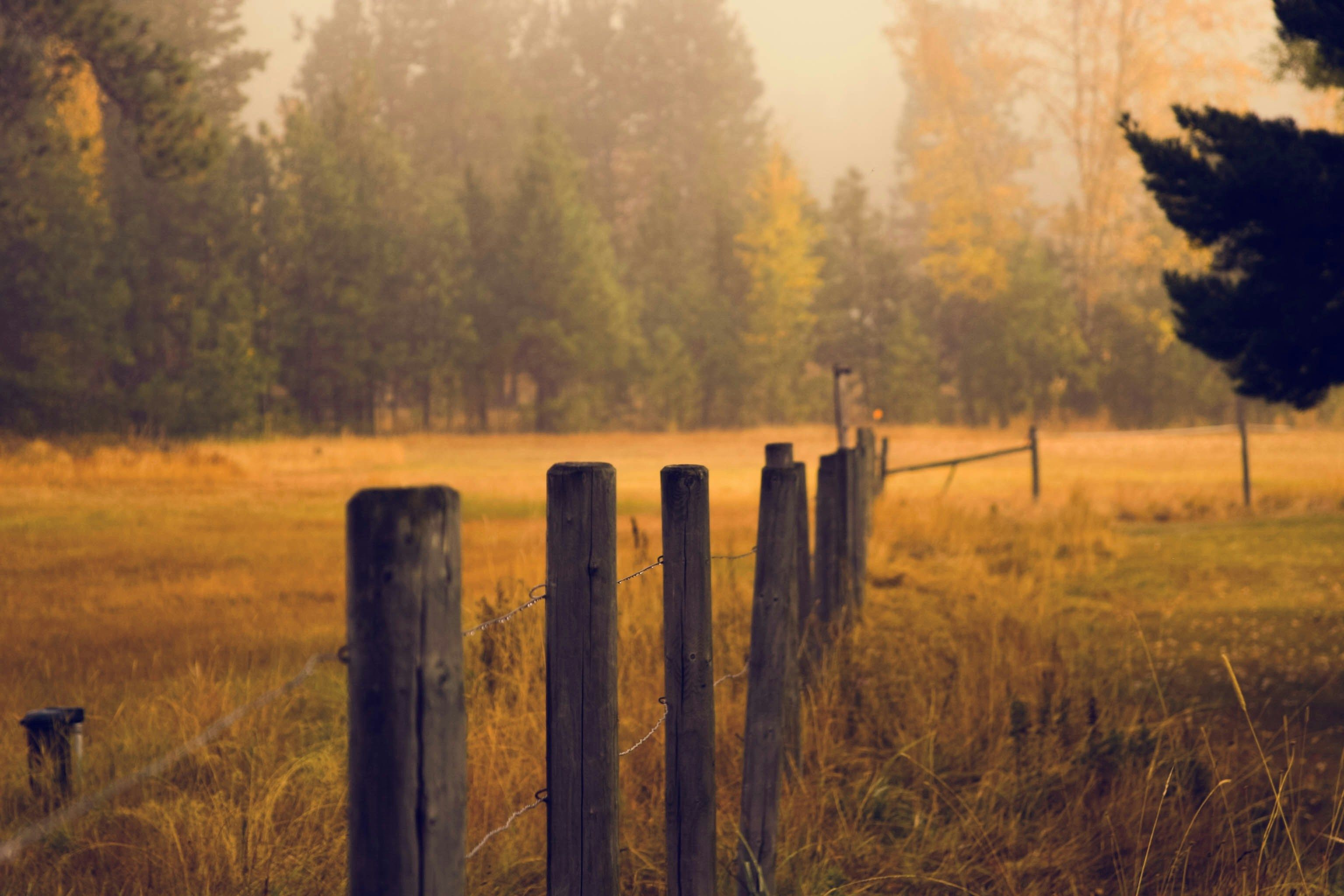 Micah Hallahan IVxOeAWU 7o Unsplash