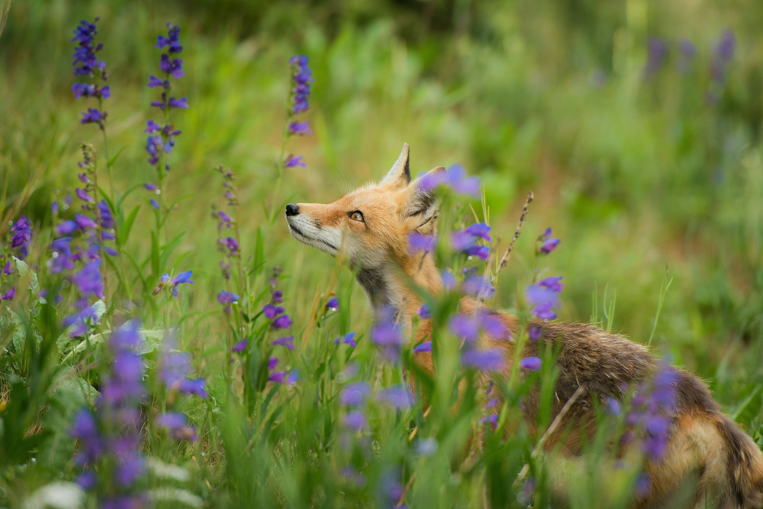 Nathan Anderson PAiwxxJVh0I Unsplash