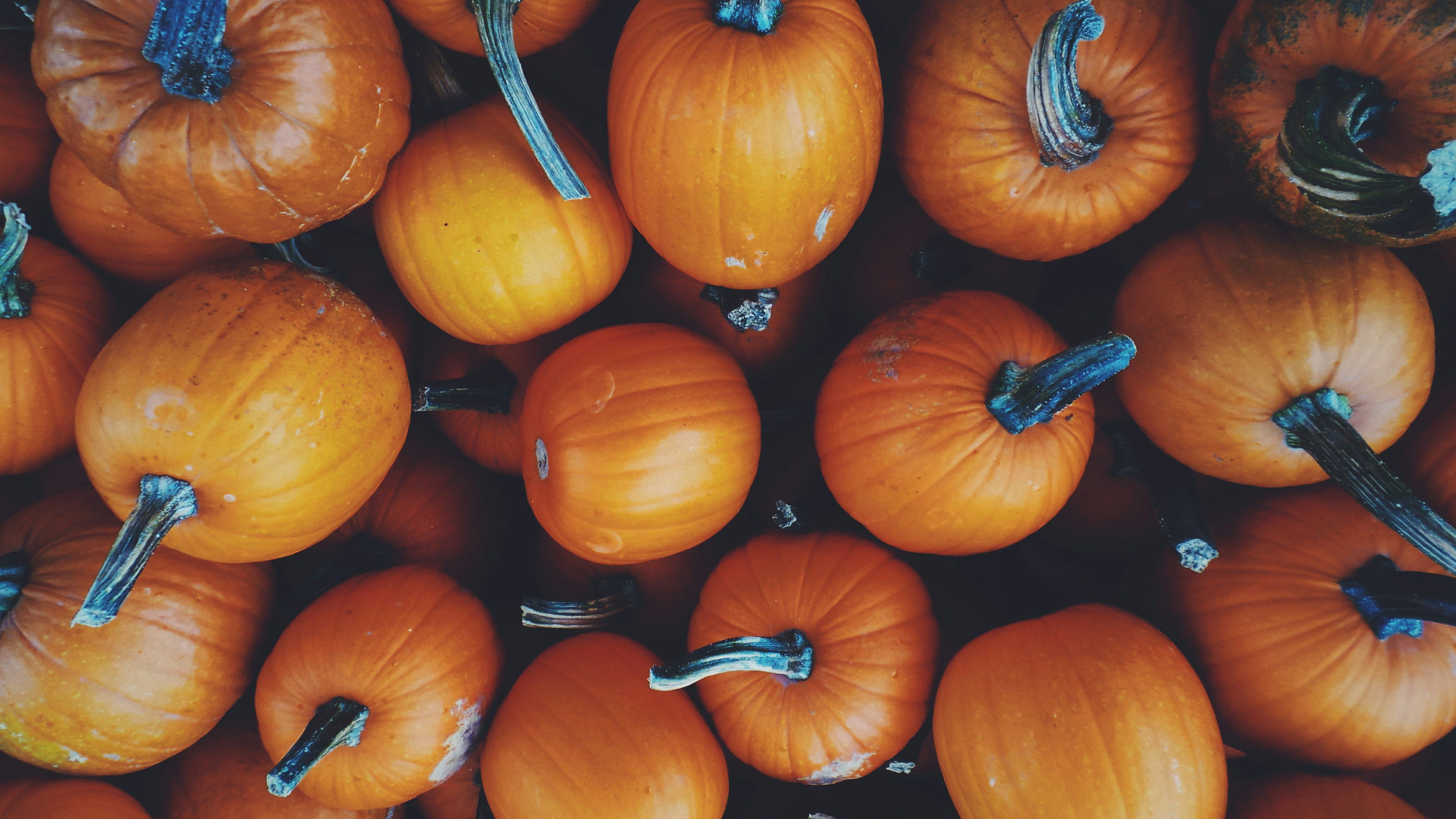 John Silliman Bl6Iw3OvkK8 Unsplash