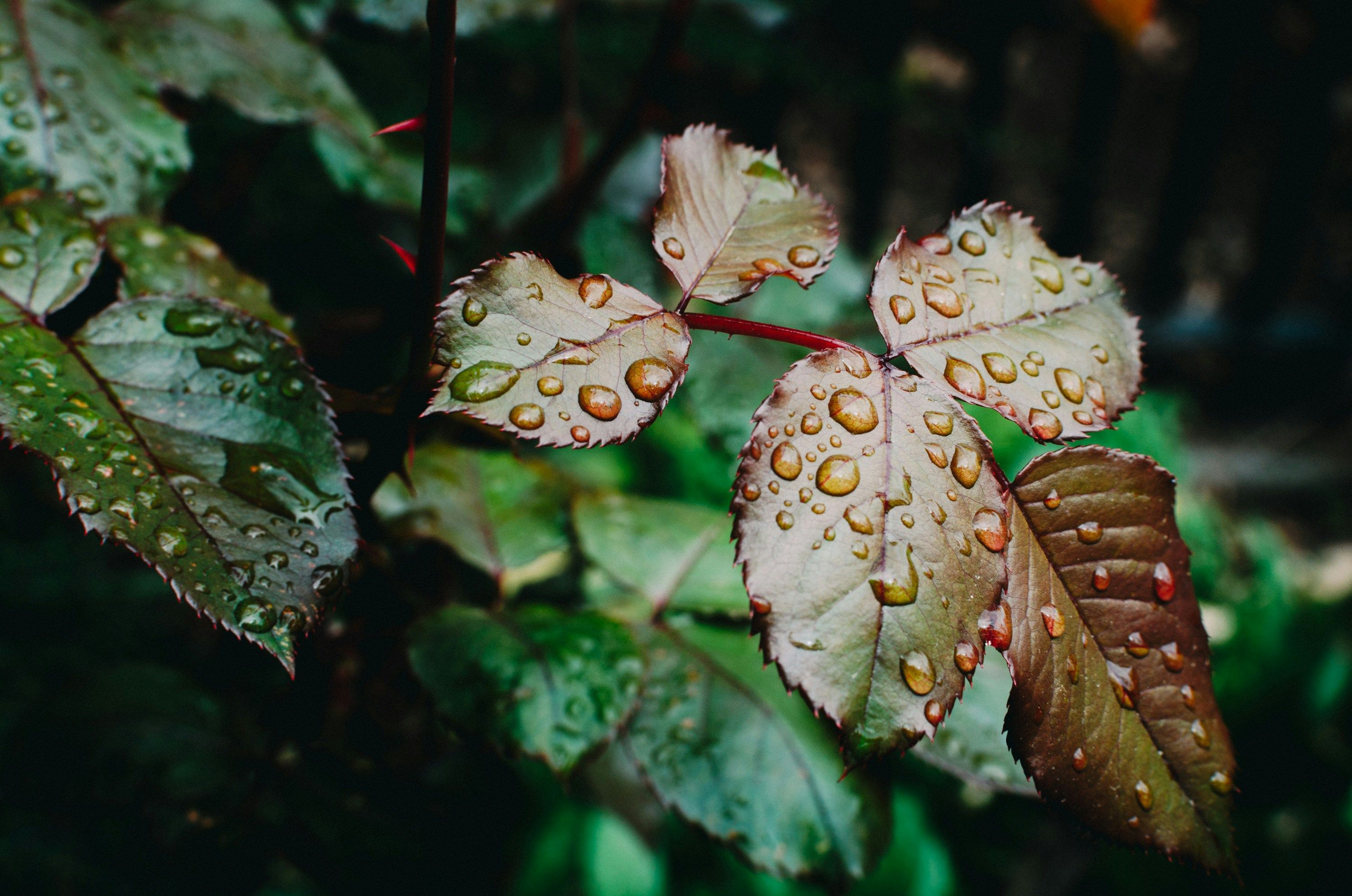 Kelly Sikkema BcErkVtF0as Unsplash