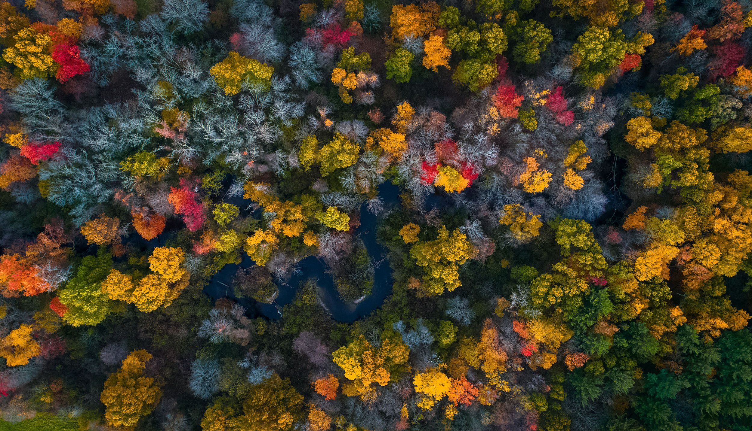 Balazs Busznyak MO695Hfc0j0 Unsplash
