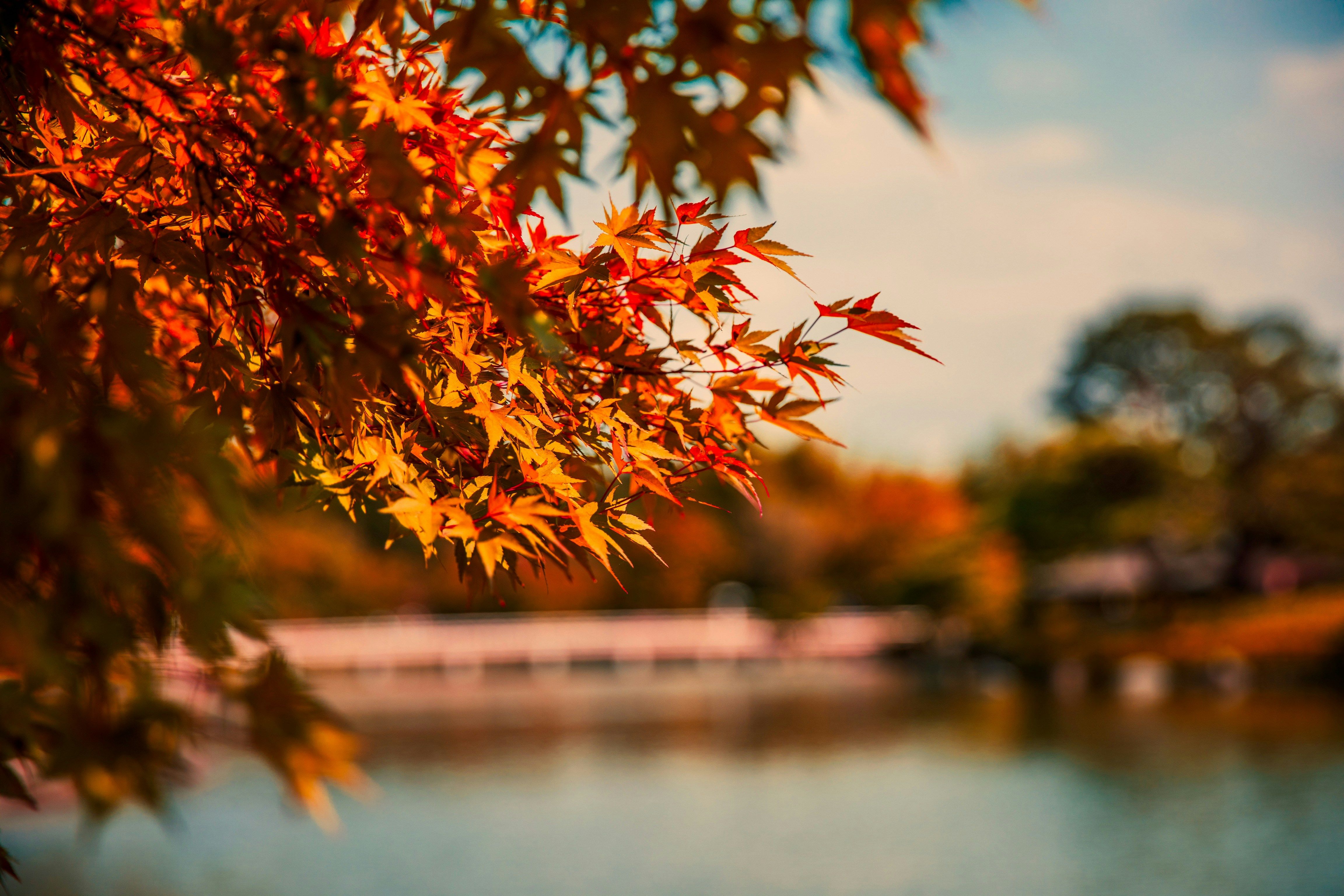 Lyndon Li ZrT1tjnxJKQ Unsplash