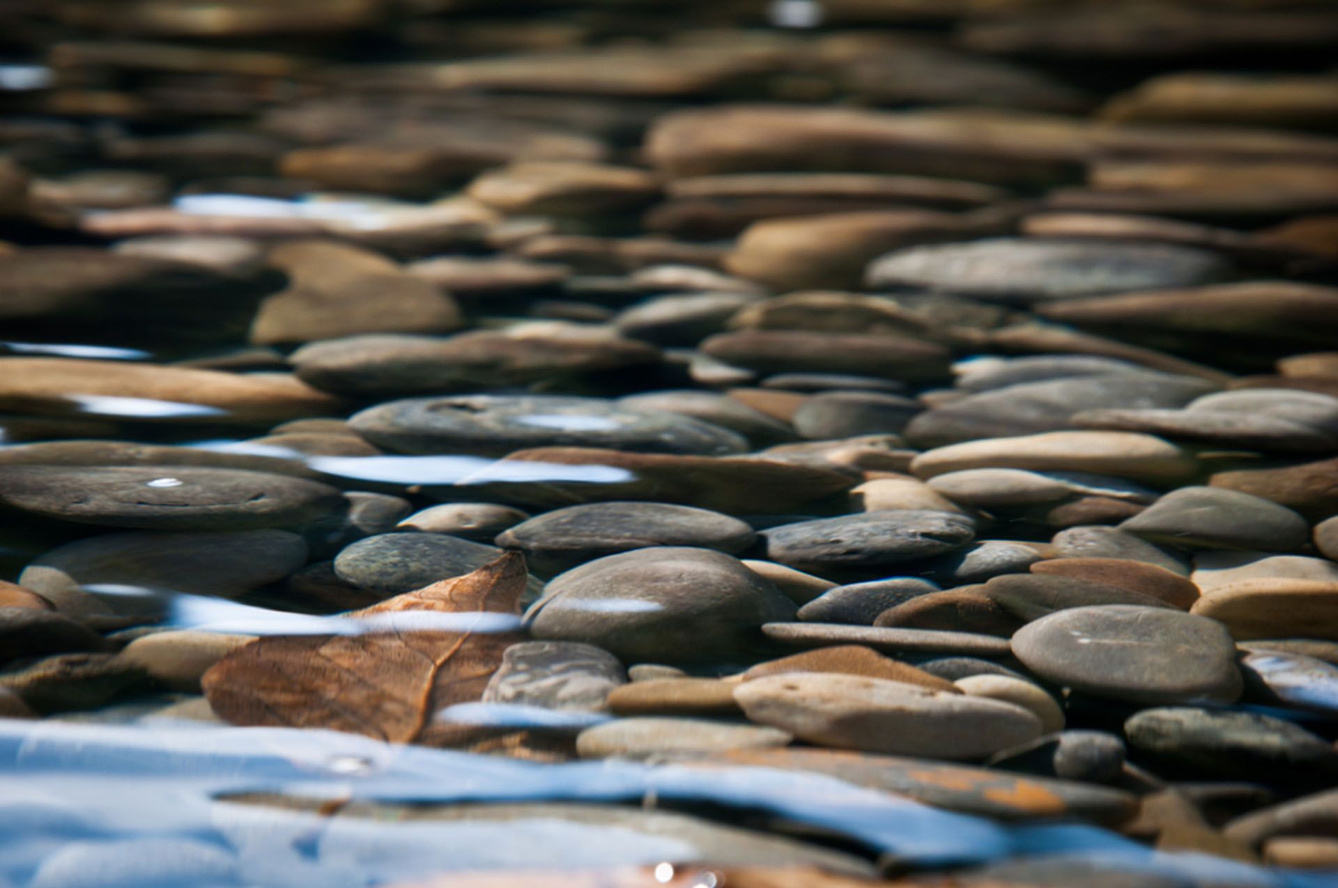 RiverStone Footer