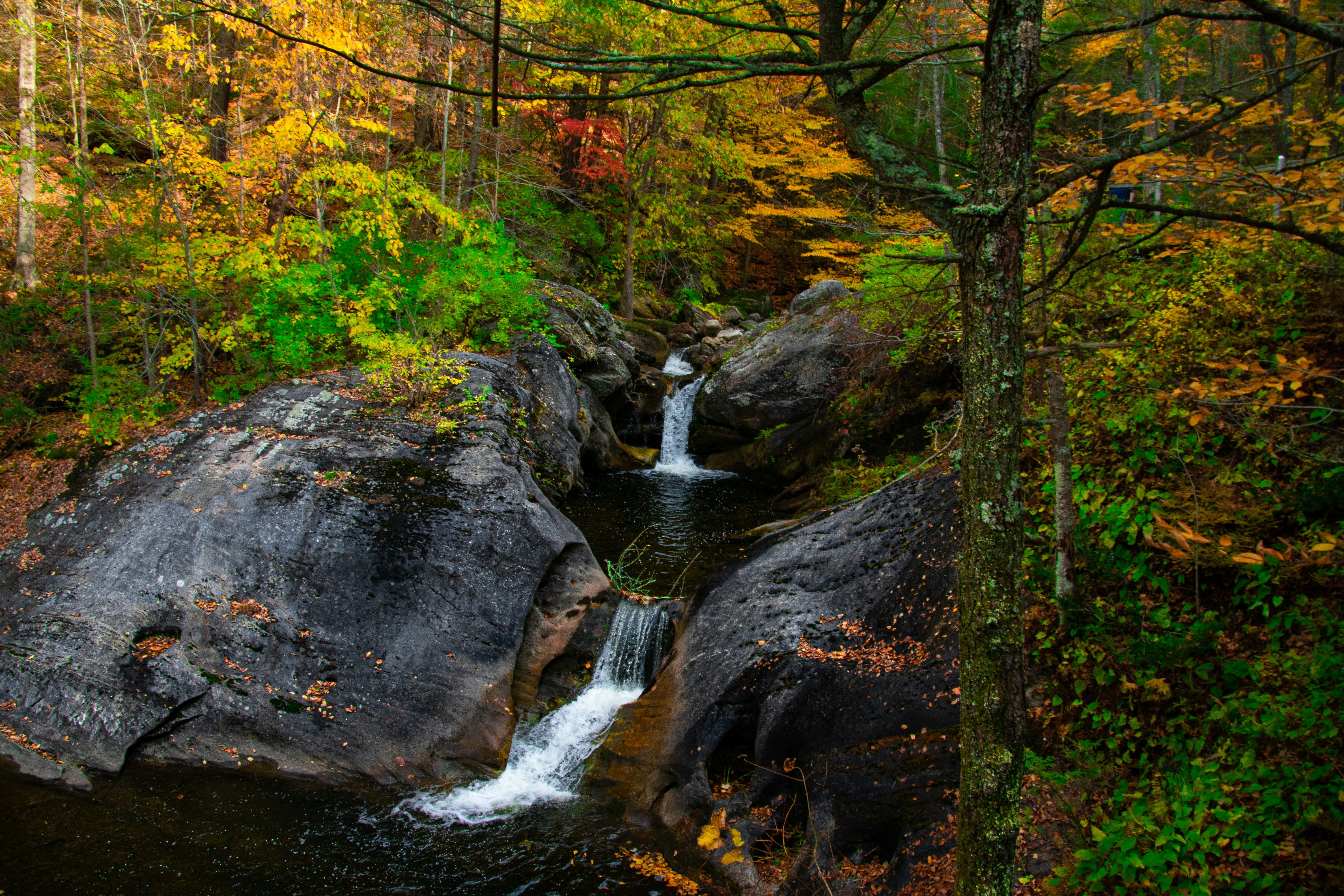 Christopher Luther DqXBkOAvclQ Unsplash