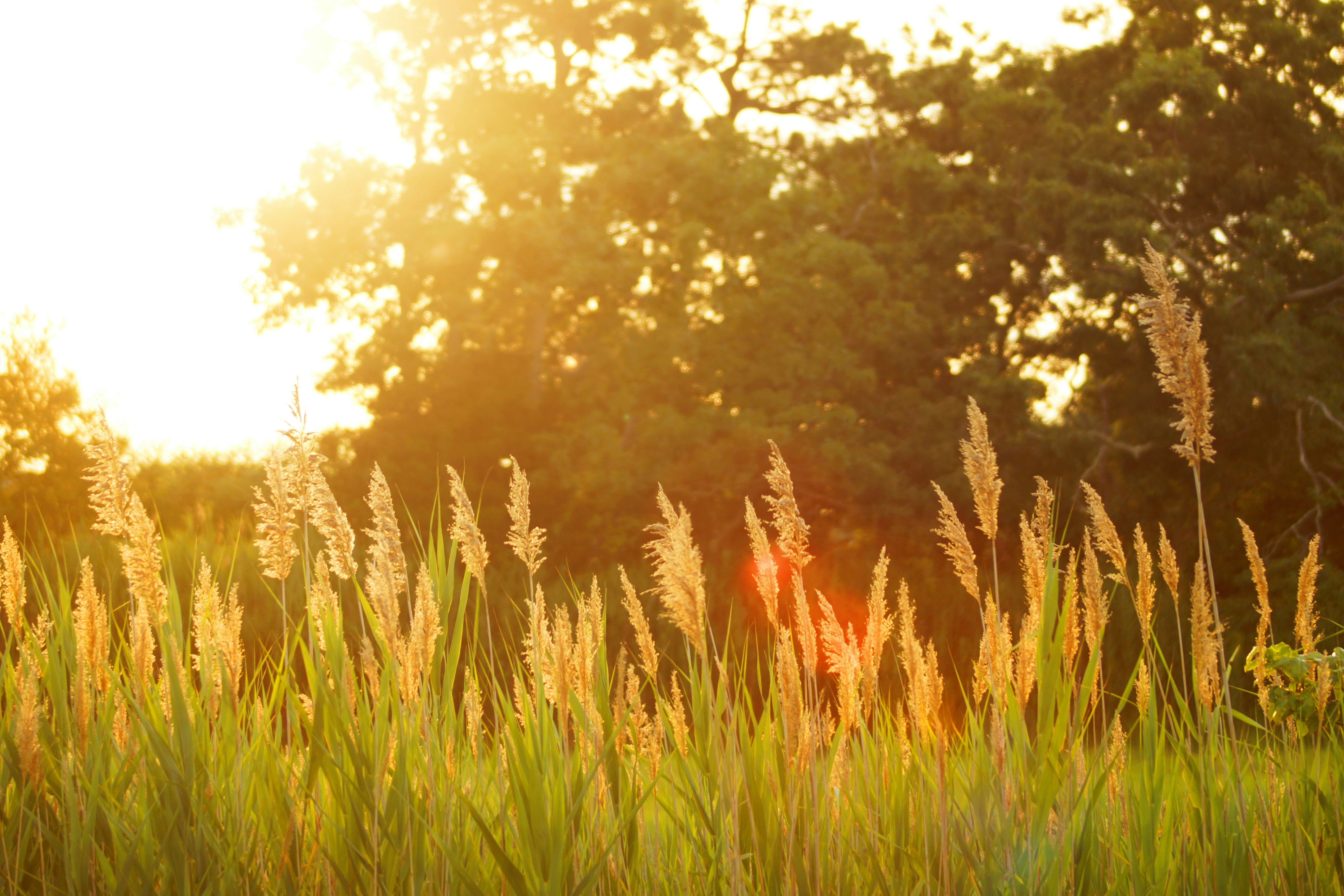 Dakota Roos U7ldh TgH3s Unsplash