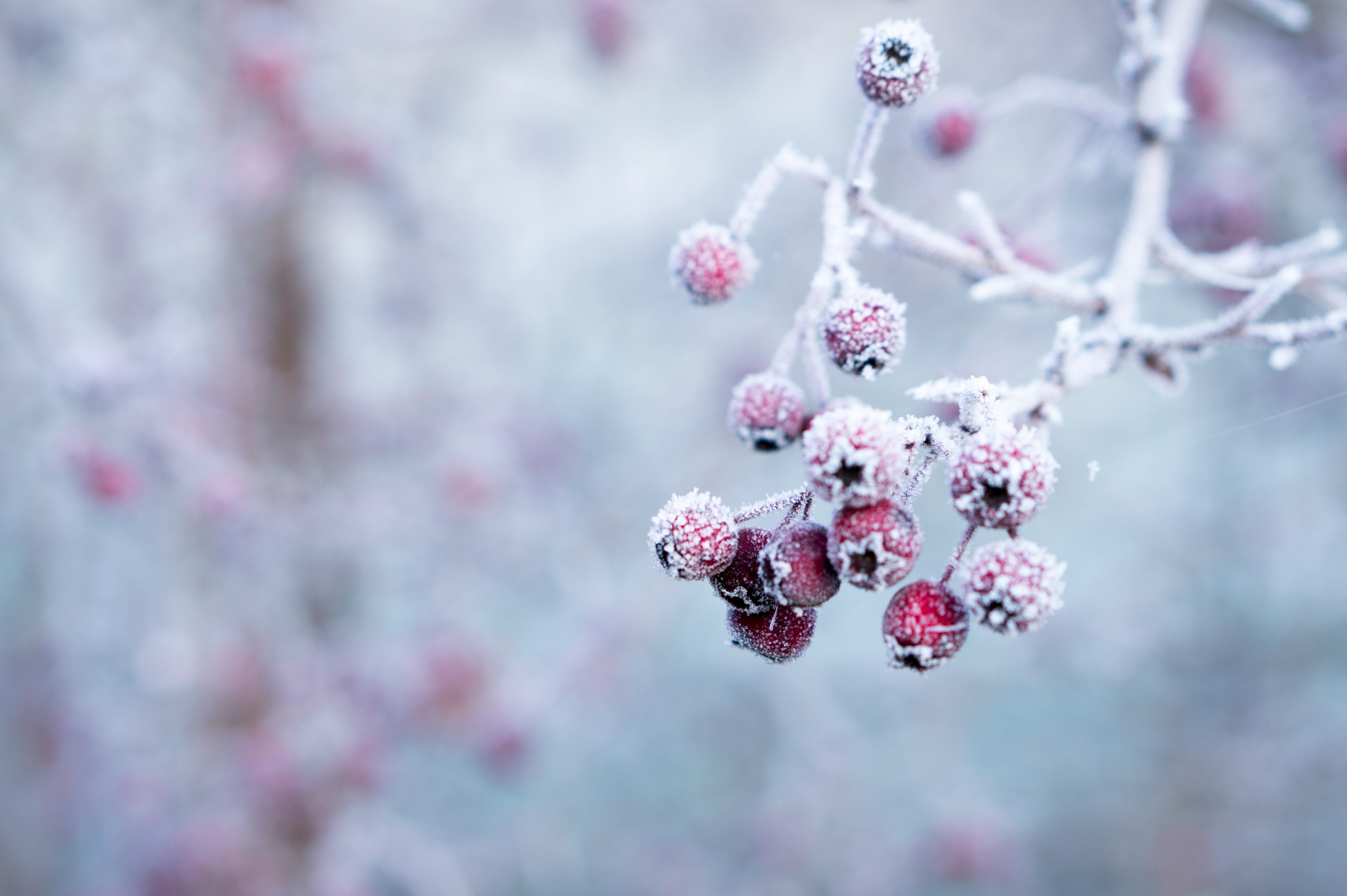 Galina N AgWVcQz1bOA Unsplash