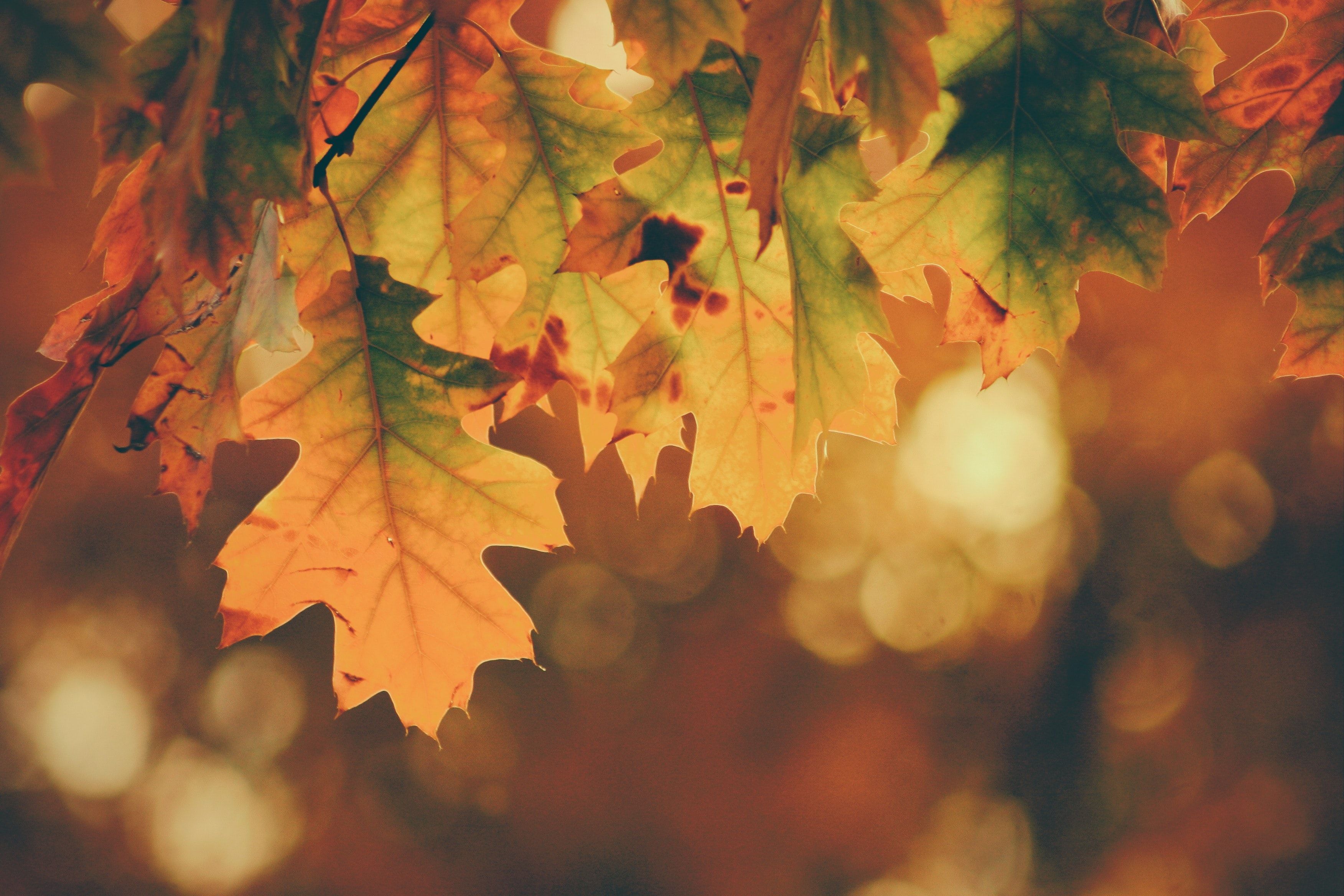 Sept Nav Nature