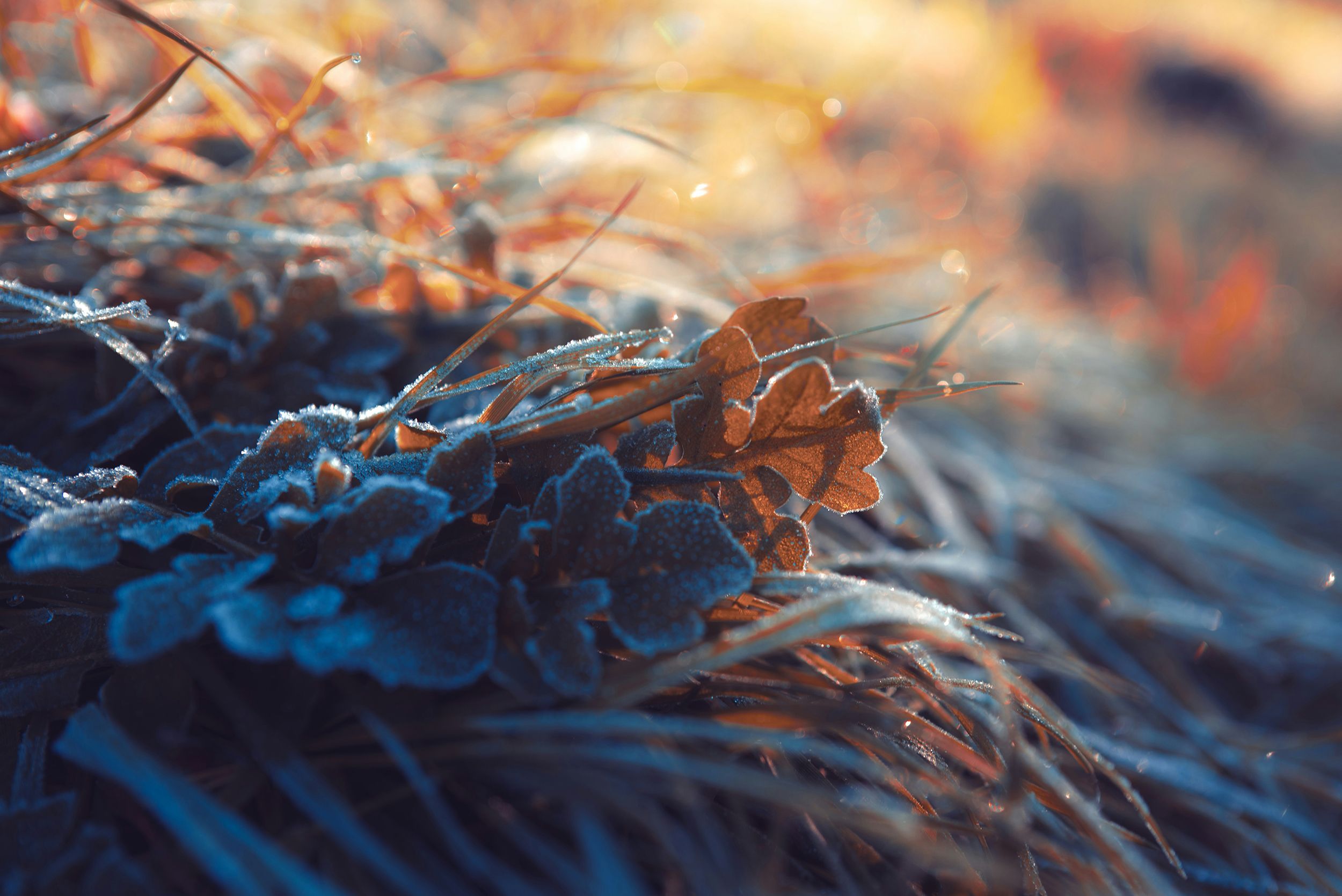 Yuheng Ouyang DHMz4ksb5ZU Unsplash