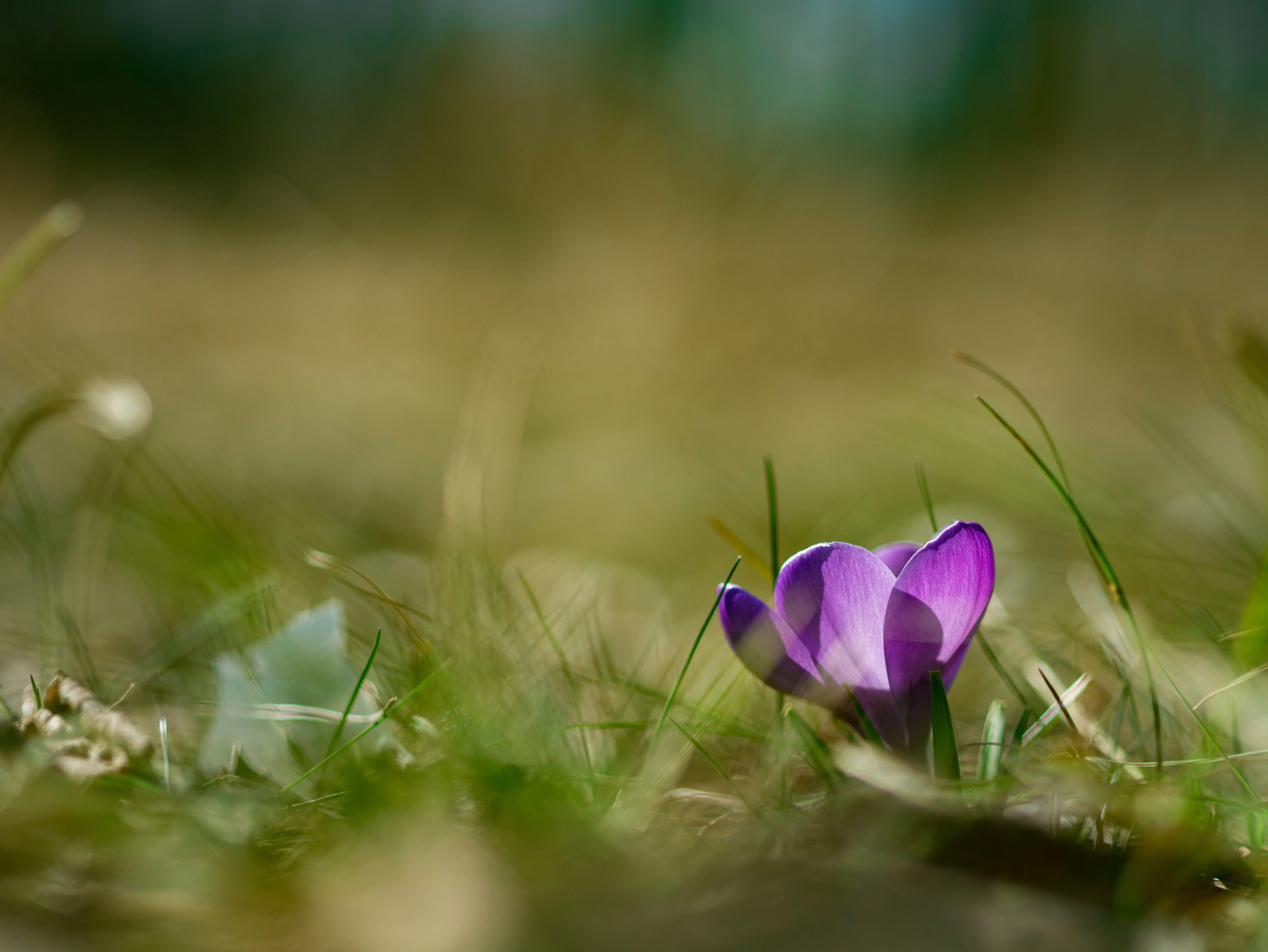 Aaron Burden 6 EmMvvaII8 Unsplash