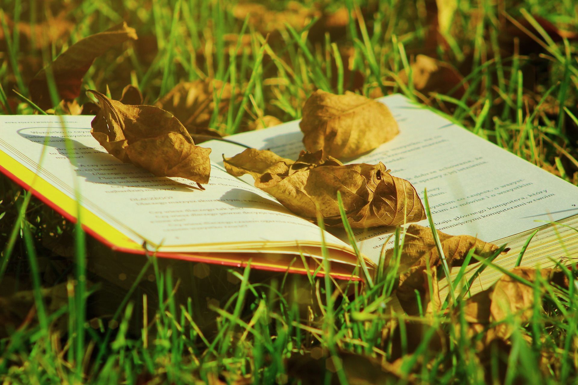 Book Leaf 5548611 1920x1280 3ac8ff41