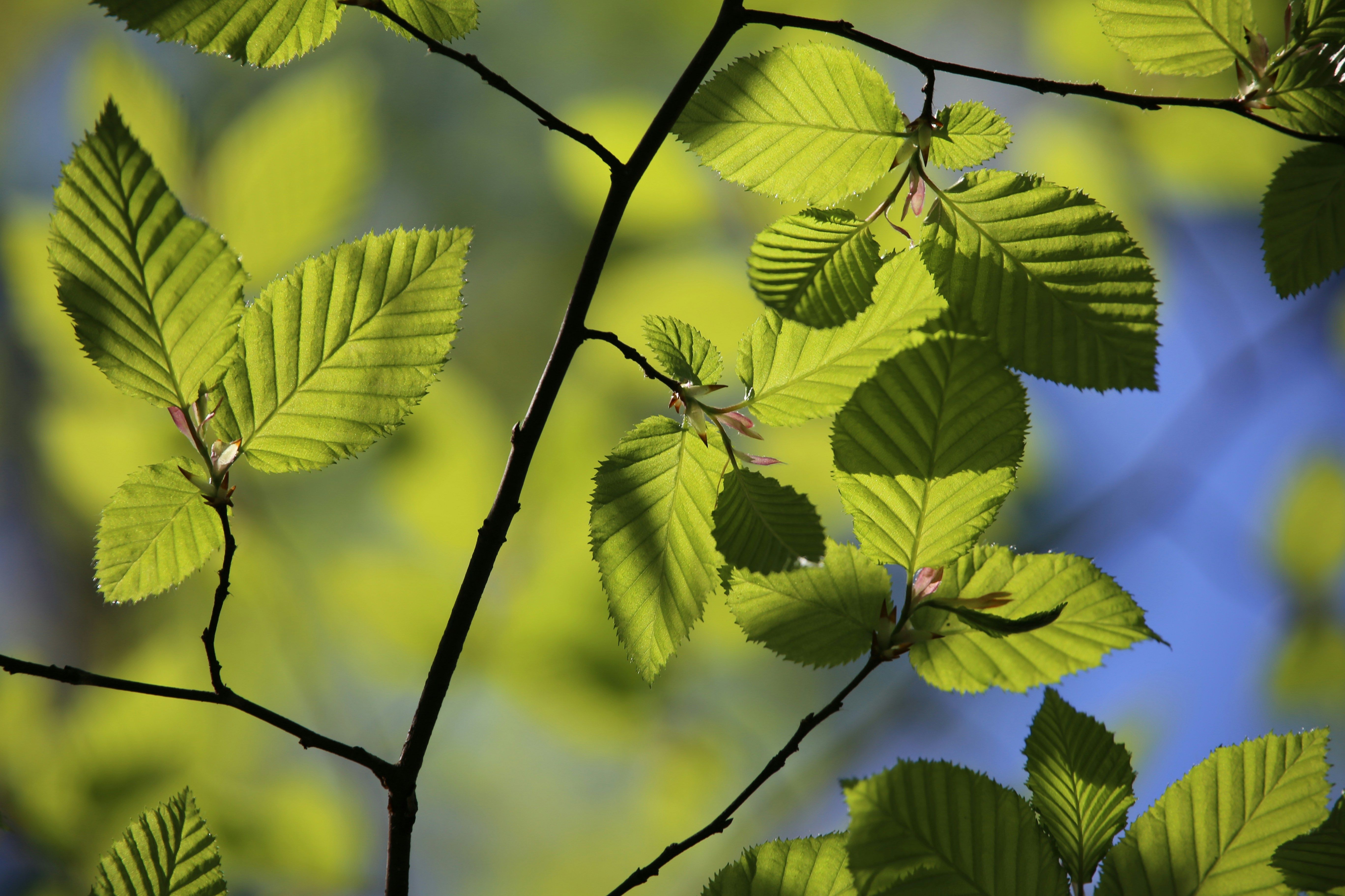 Julia Weihe NqTPz5TDyfo Unsplash