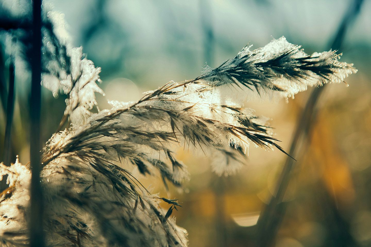 Mikael Kristenson N5dWeS8p09k Unsplash