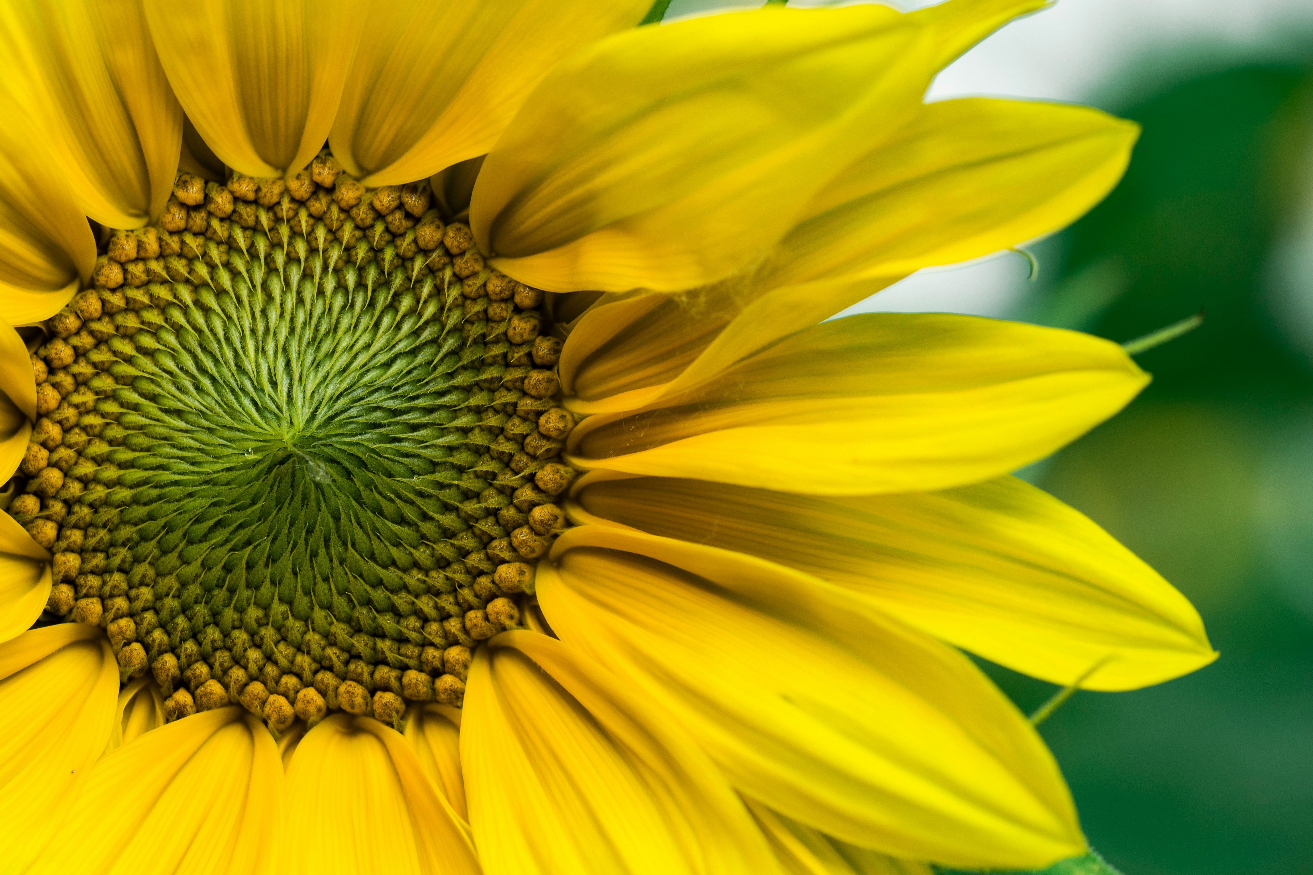 Aaron Burden GVnUVP8cs1o Unsplash