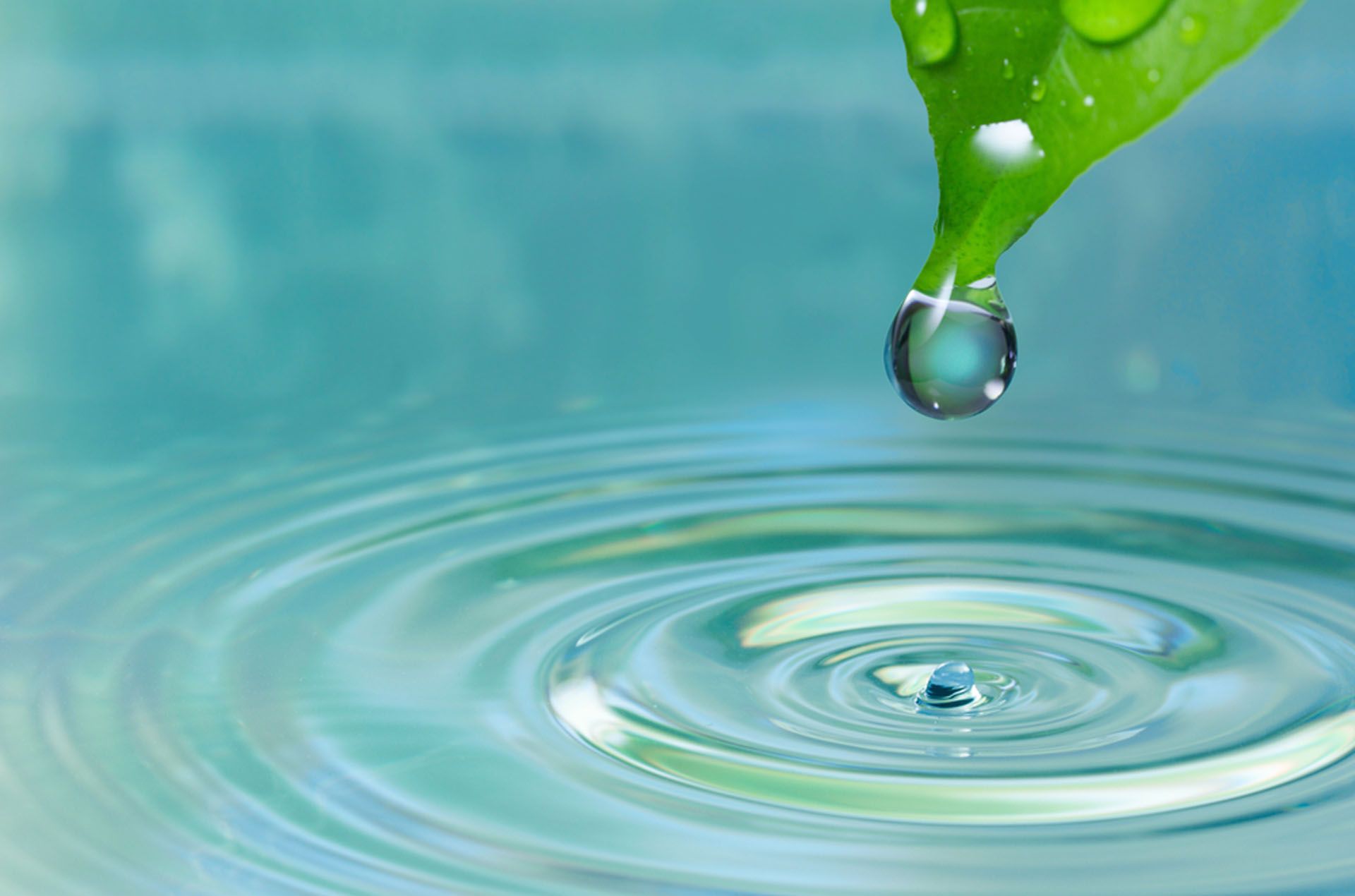 Water Community Dda3b73a