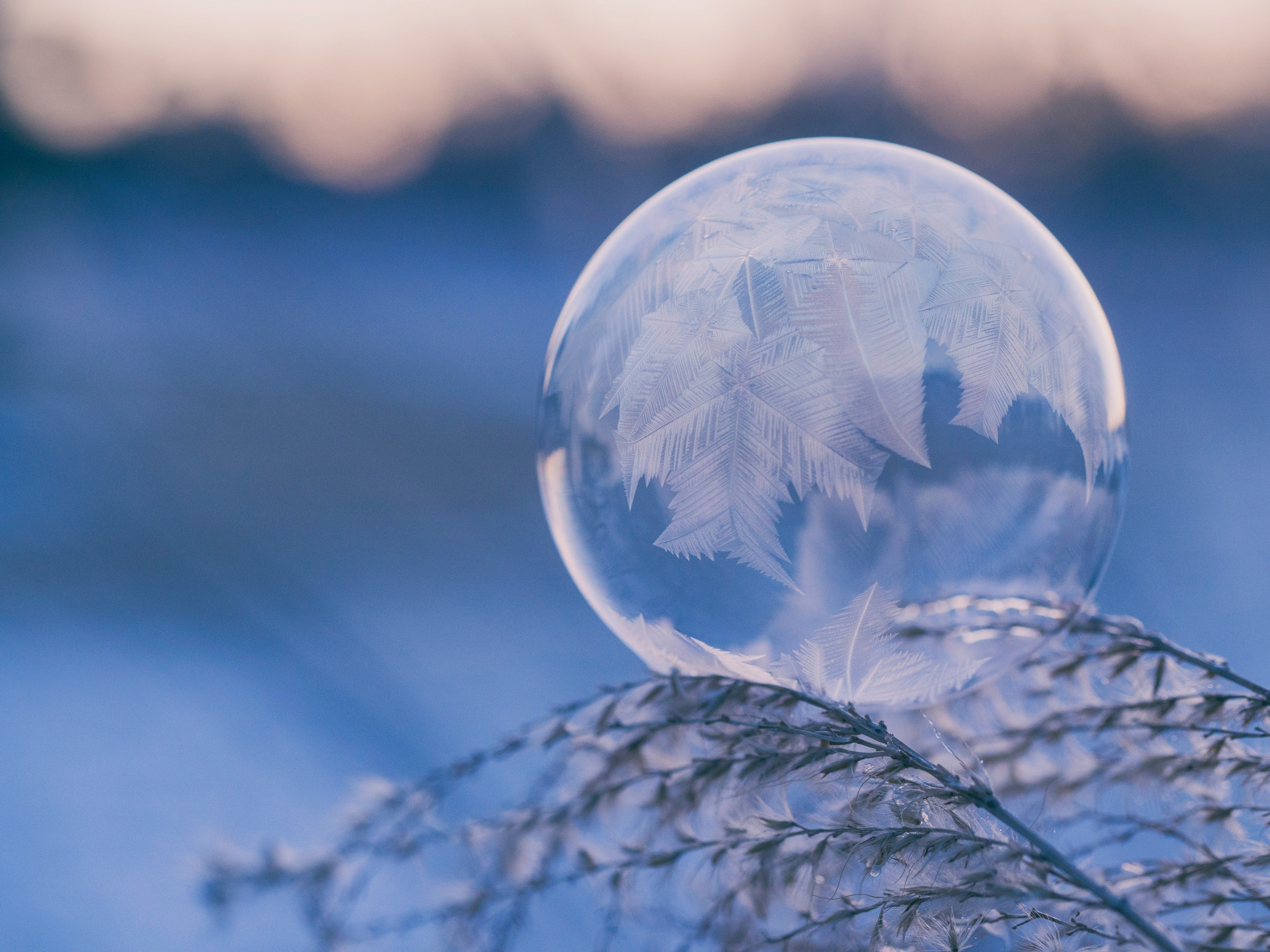 Aaron Burden XtIYGB0KEqc Unsplash