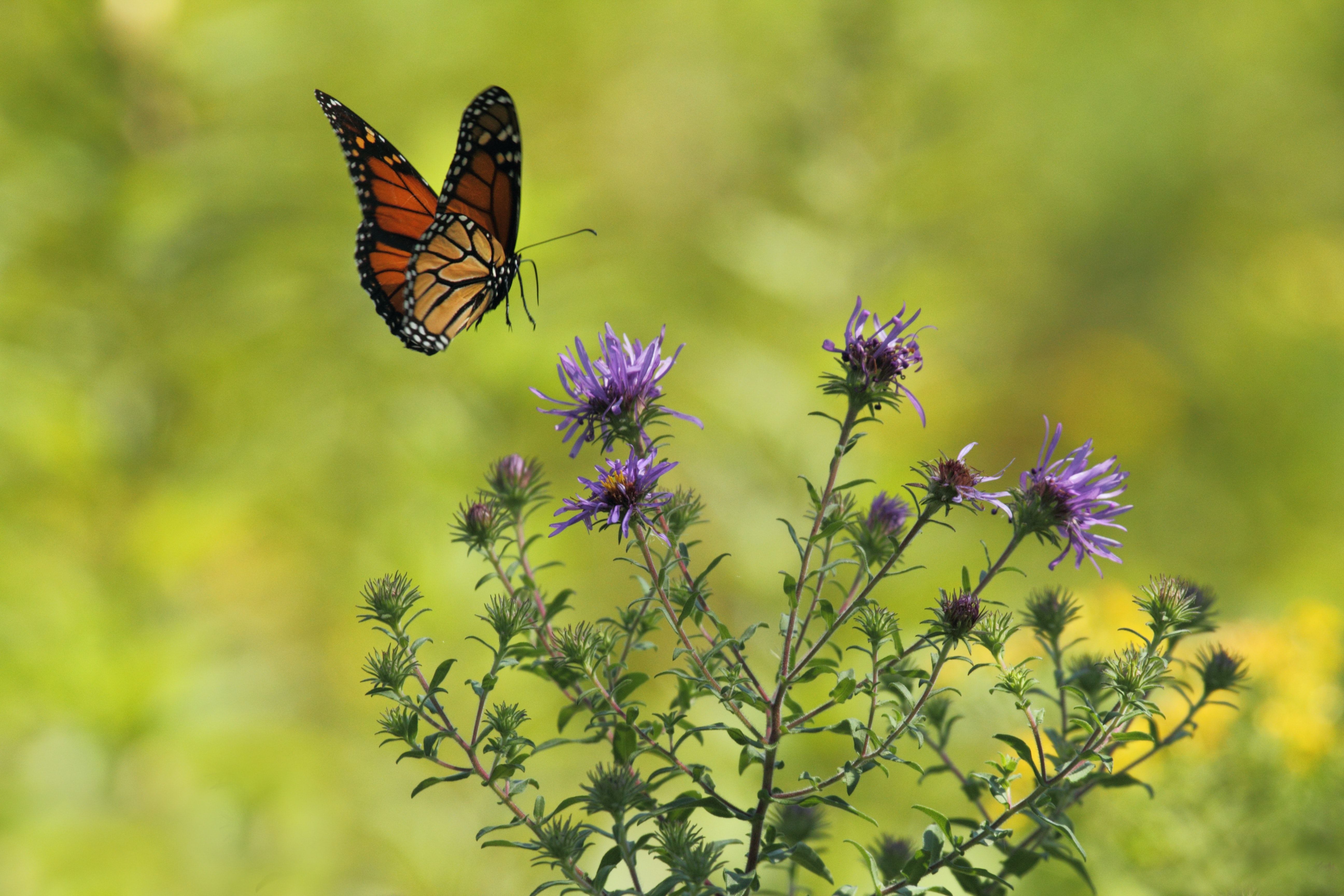 Gary Bendig B30CHD9UdVs Unsplash