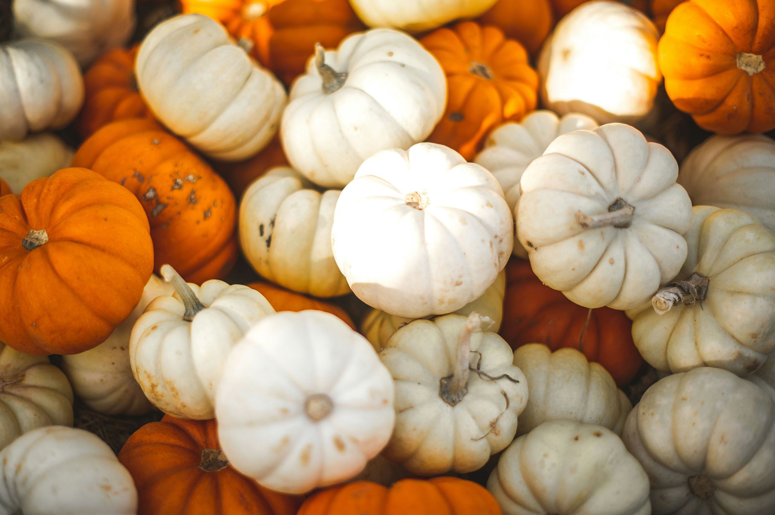 Jasmine Coro DJjPsMGYtGs Unsplash